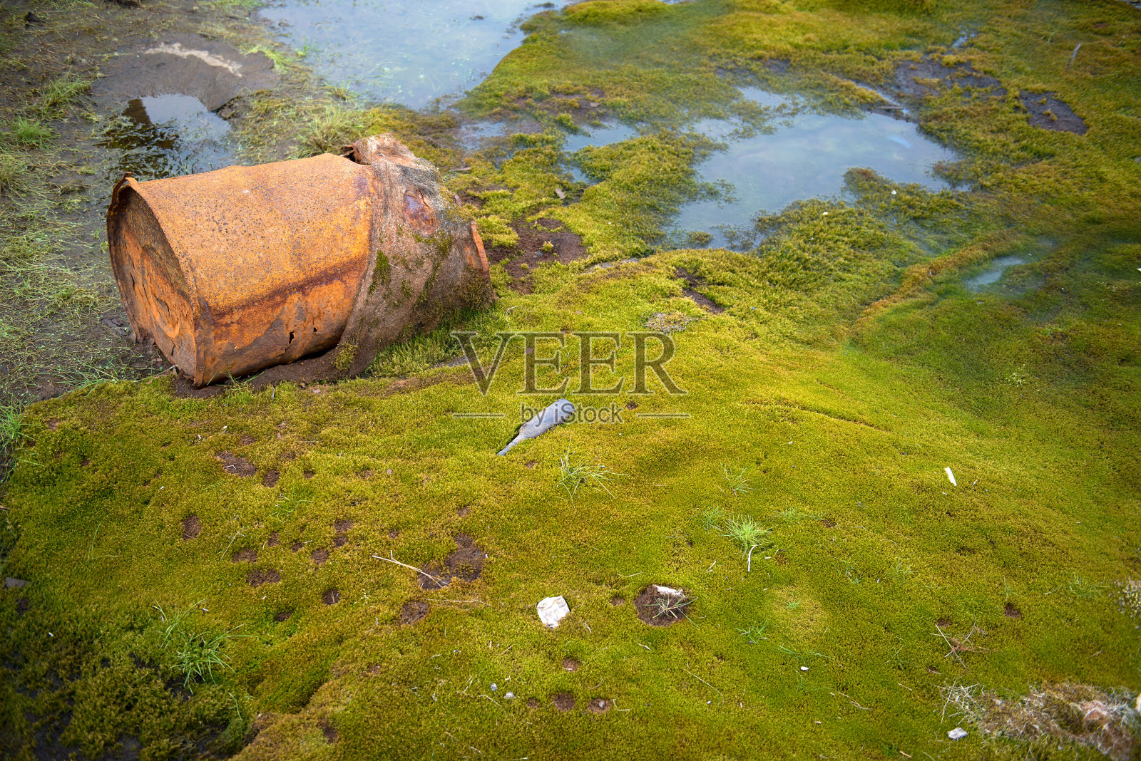 俄罗斯楚科奇海岸上生锈的木桶照片摄影图片