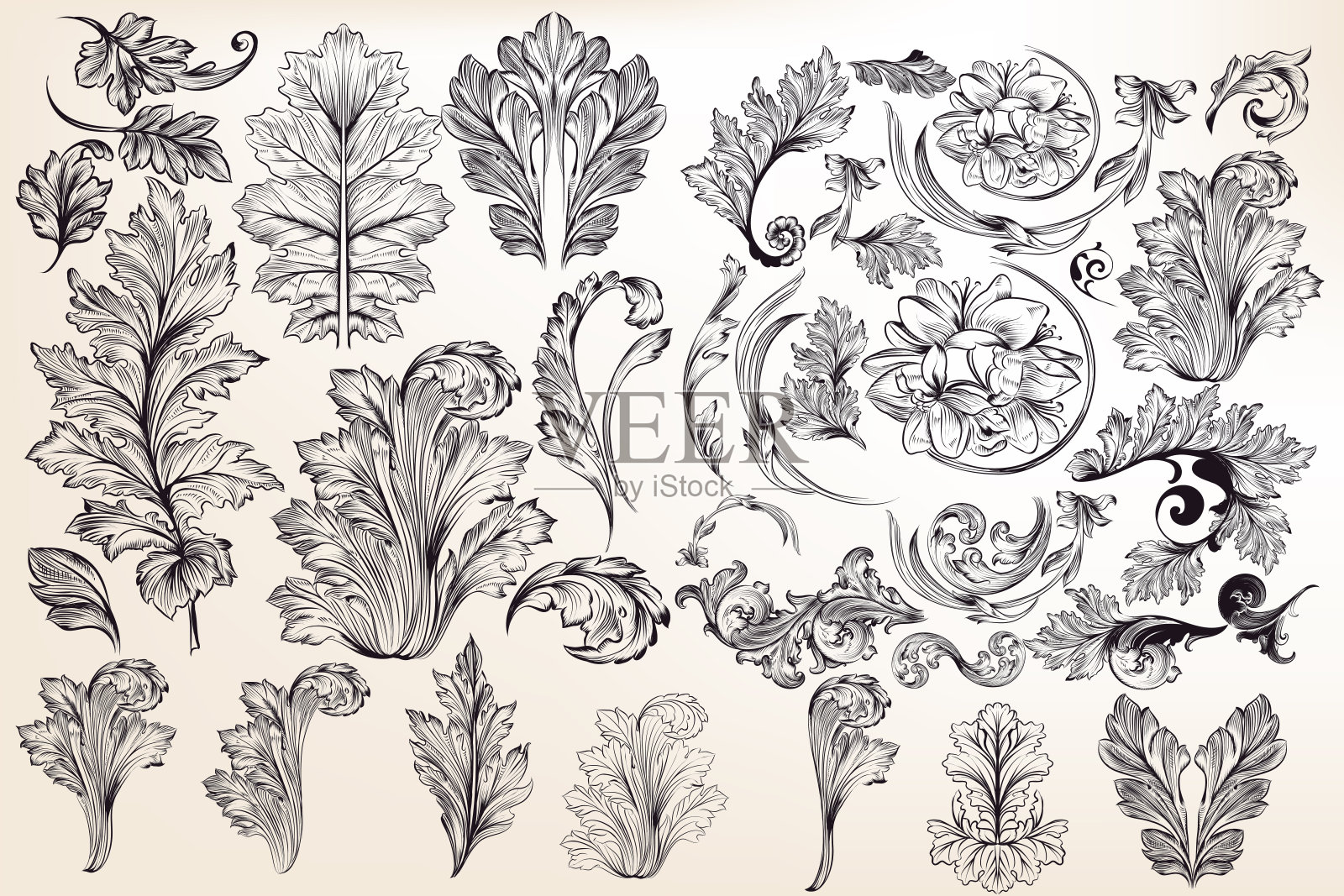 复古风格的vector装饰花卉元素收集设计元素图片