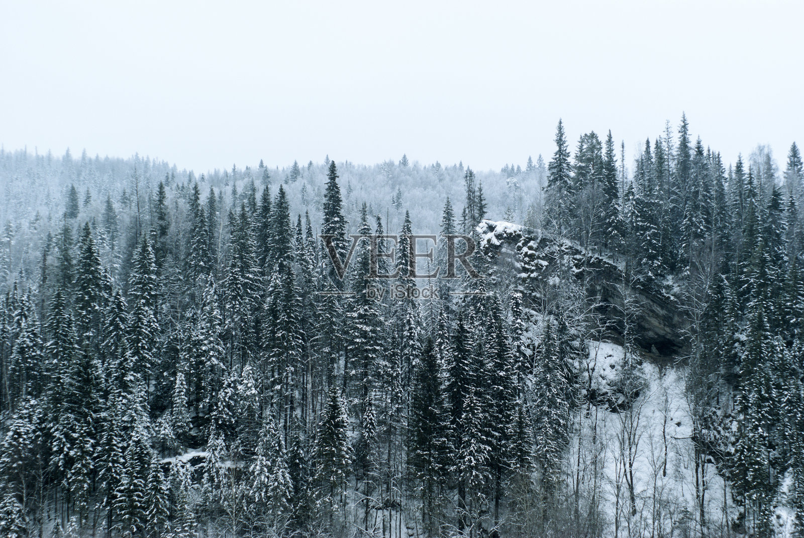 冬季景观:树木繁茂的山顶上的一块岩石照片摄影图片