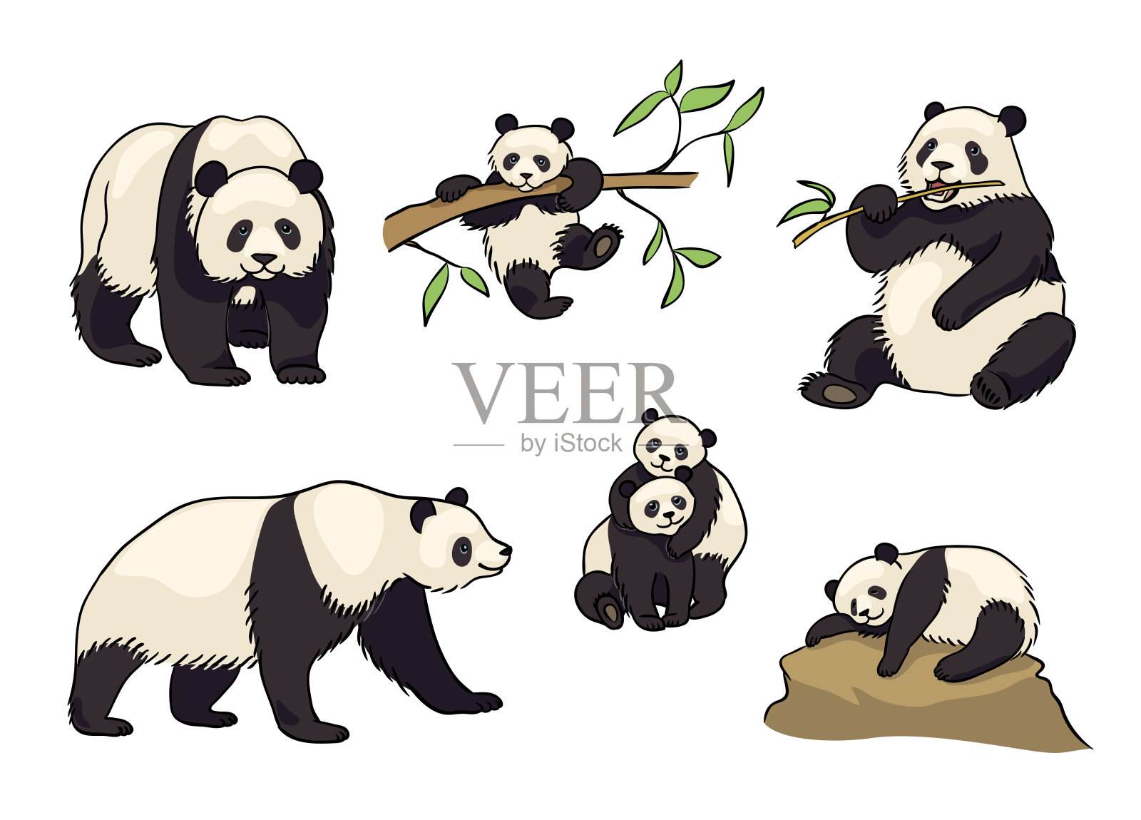 一套熊猫-矢量插图插画图片素材
