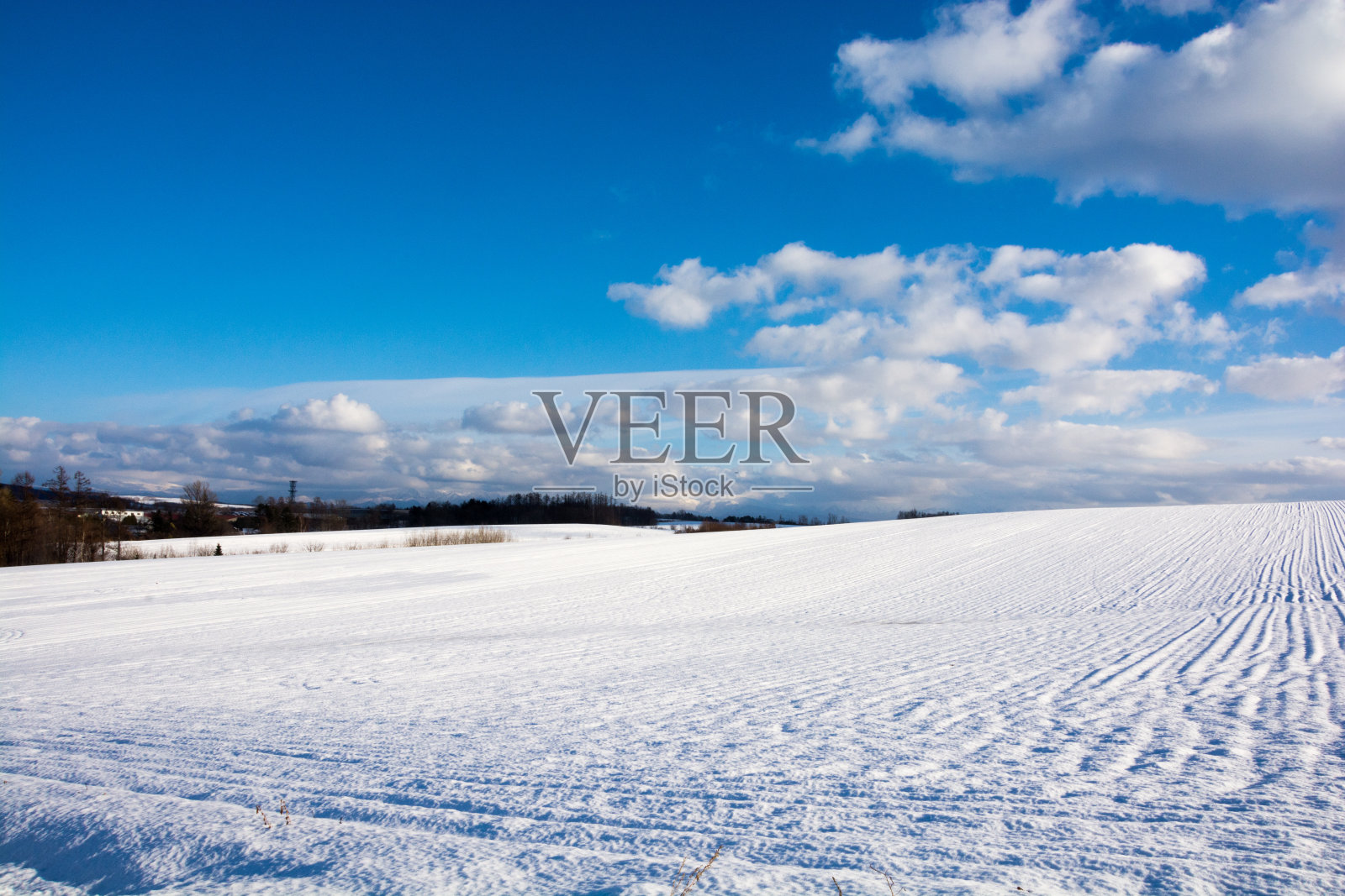 冬天的田野和碧蓝的天空照片摄影图片