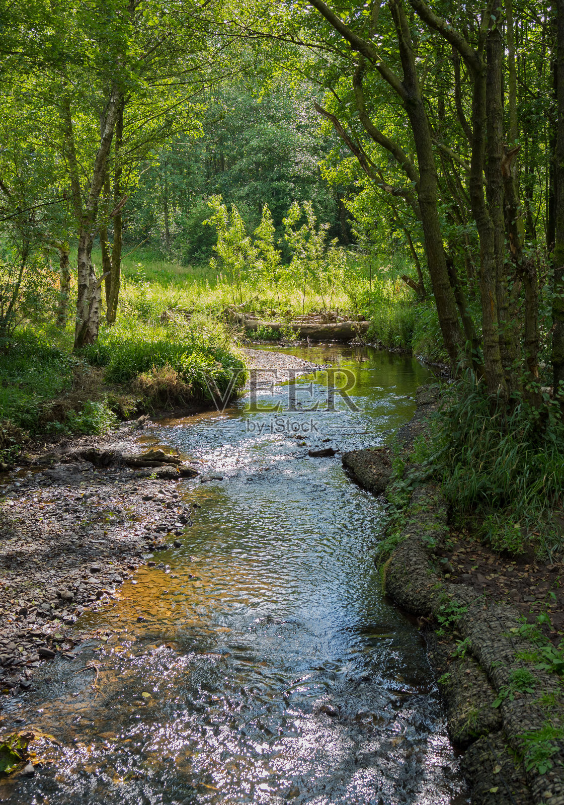 典型的英国林地中的小溪照片摄影图片