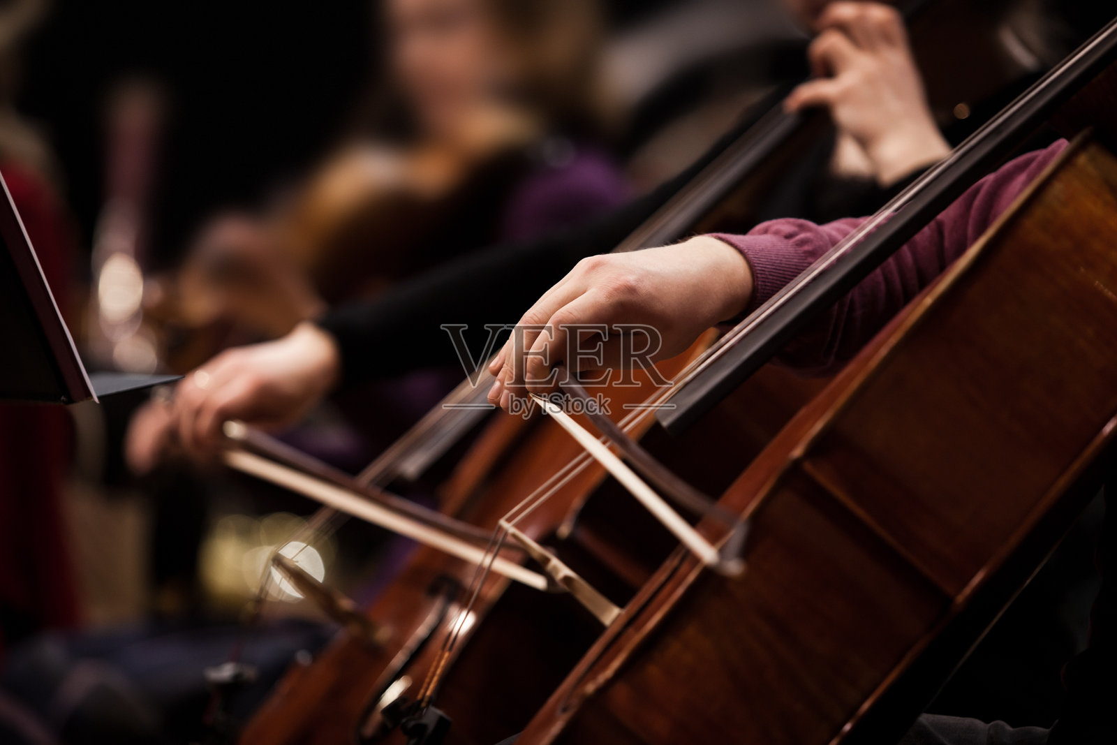 大提琴演奏者的手照片摄影图片
