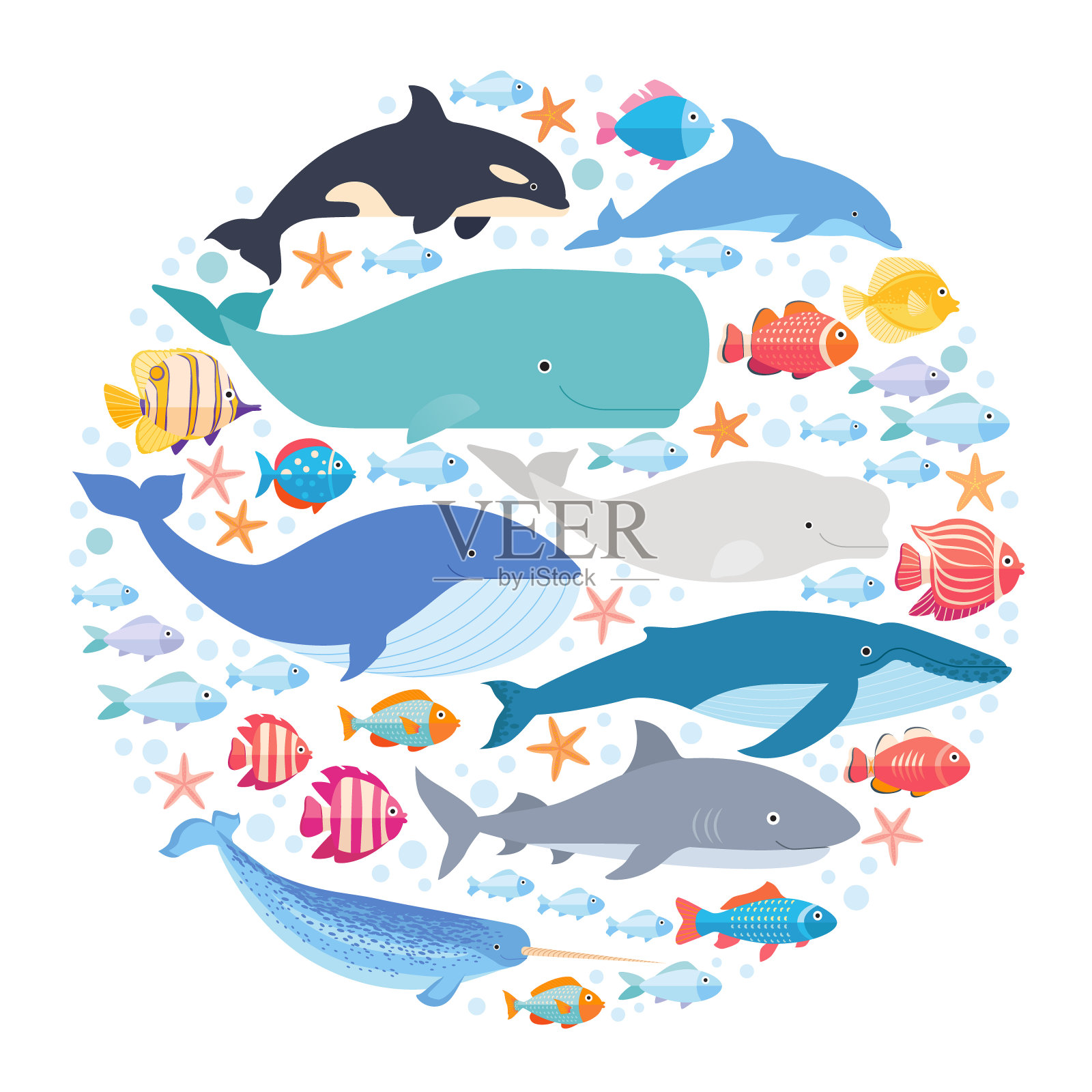 海洋哺乳动物和鱼类围成一圈。独角鲸，蓝鲸，海豚，白鲸，座头鲸，露脊鲸和抹香鲸载体隔离插画图片素材