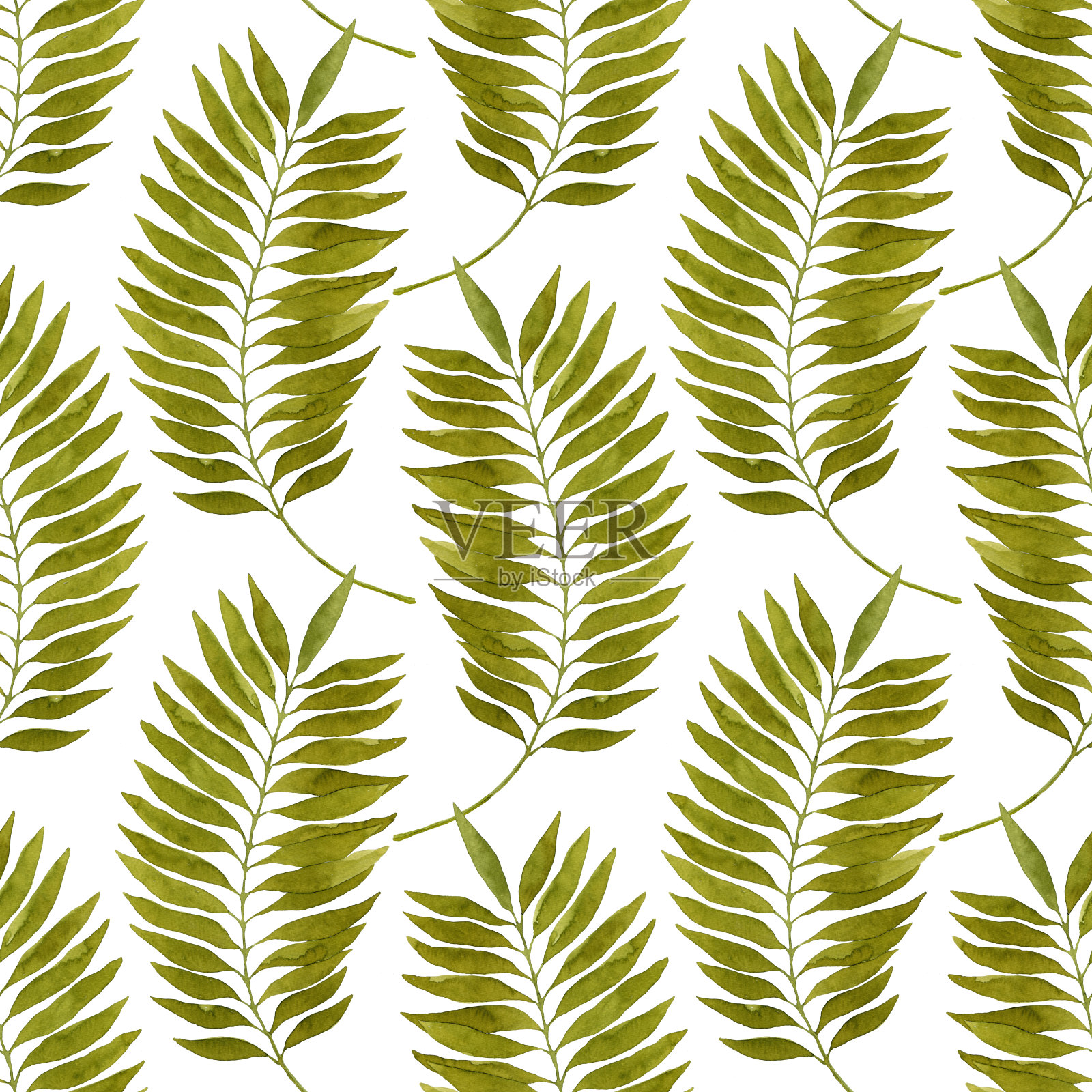 绿色水彩棕榈叶无缝图案插画图片素材