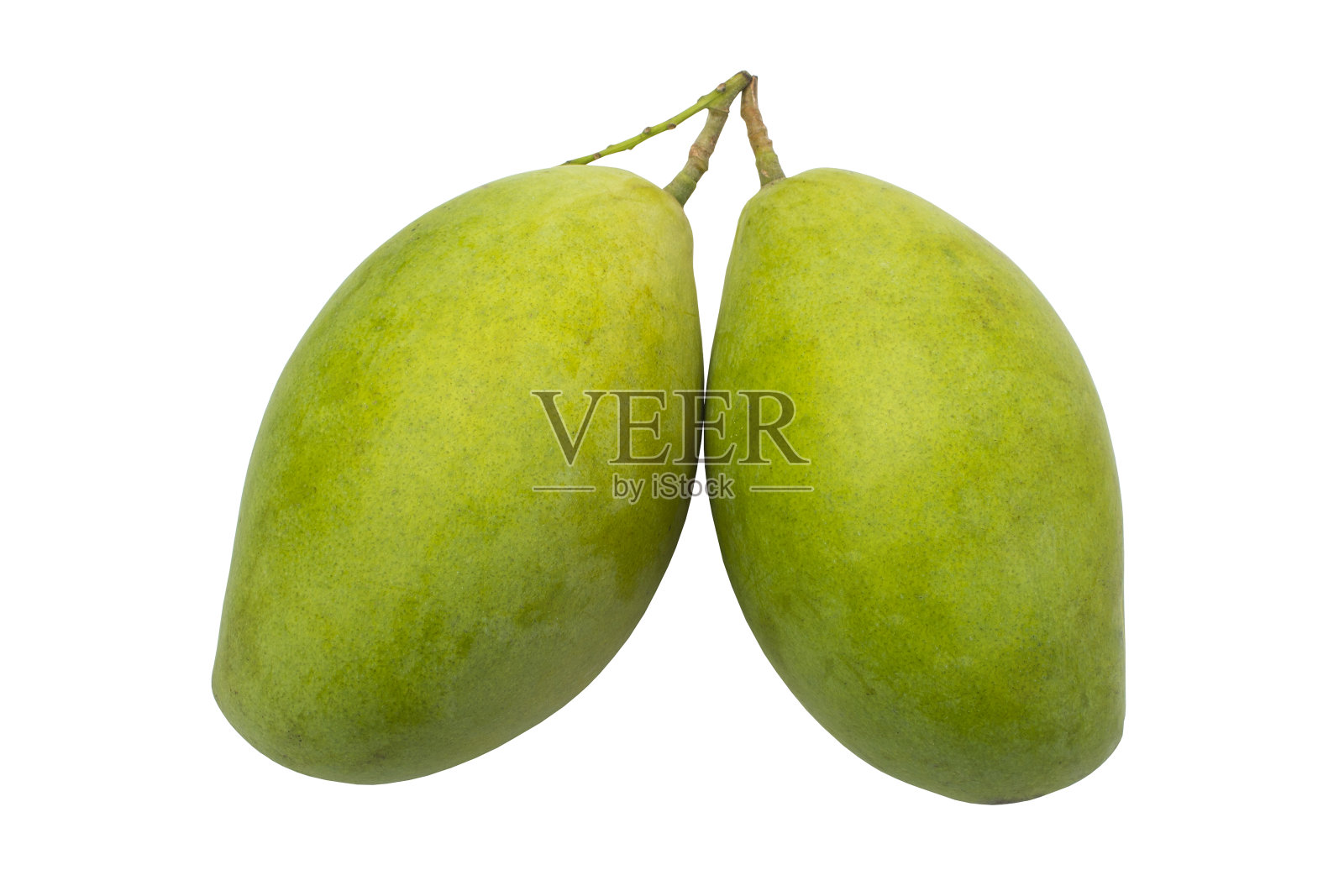 白色背景上的新鲜绿色芒果。健康的水果饮食照片摄影图片