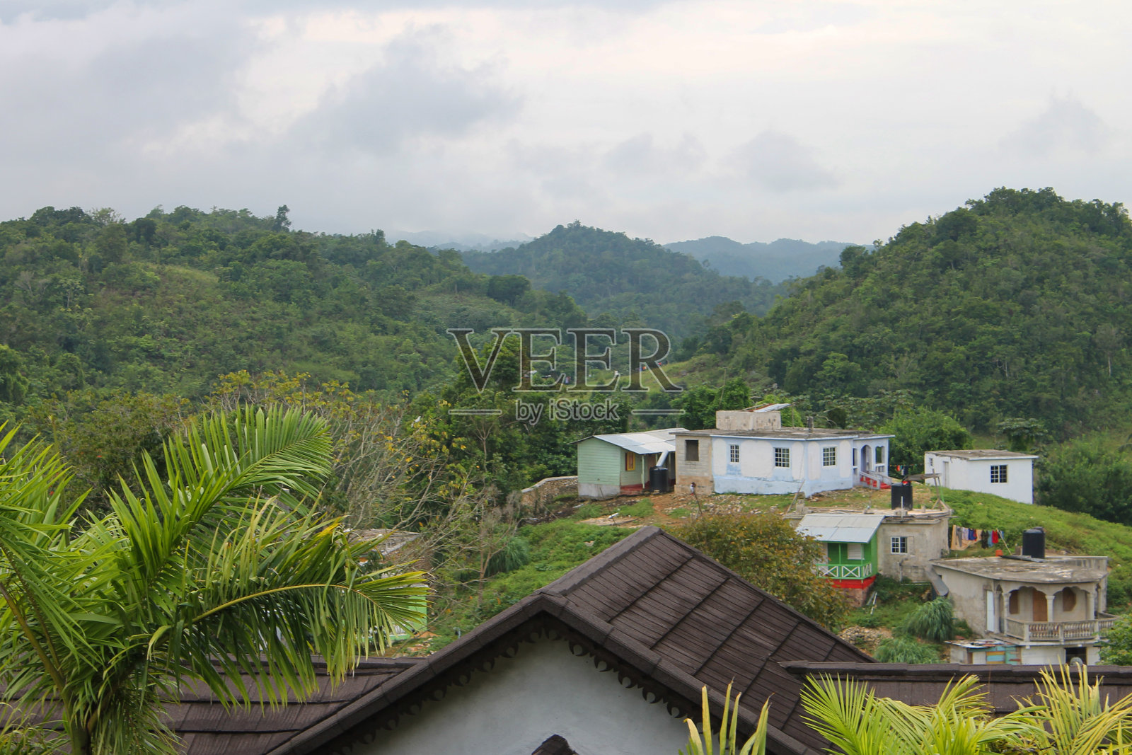 牙买加九英里(Nine Mile)的山坡上，郁郁葱葱的绿树掩映着房屋和棚屋。照片摄影图片
