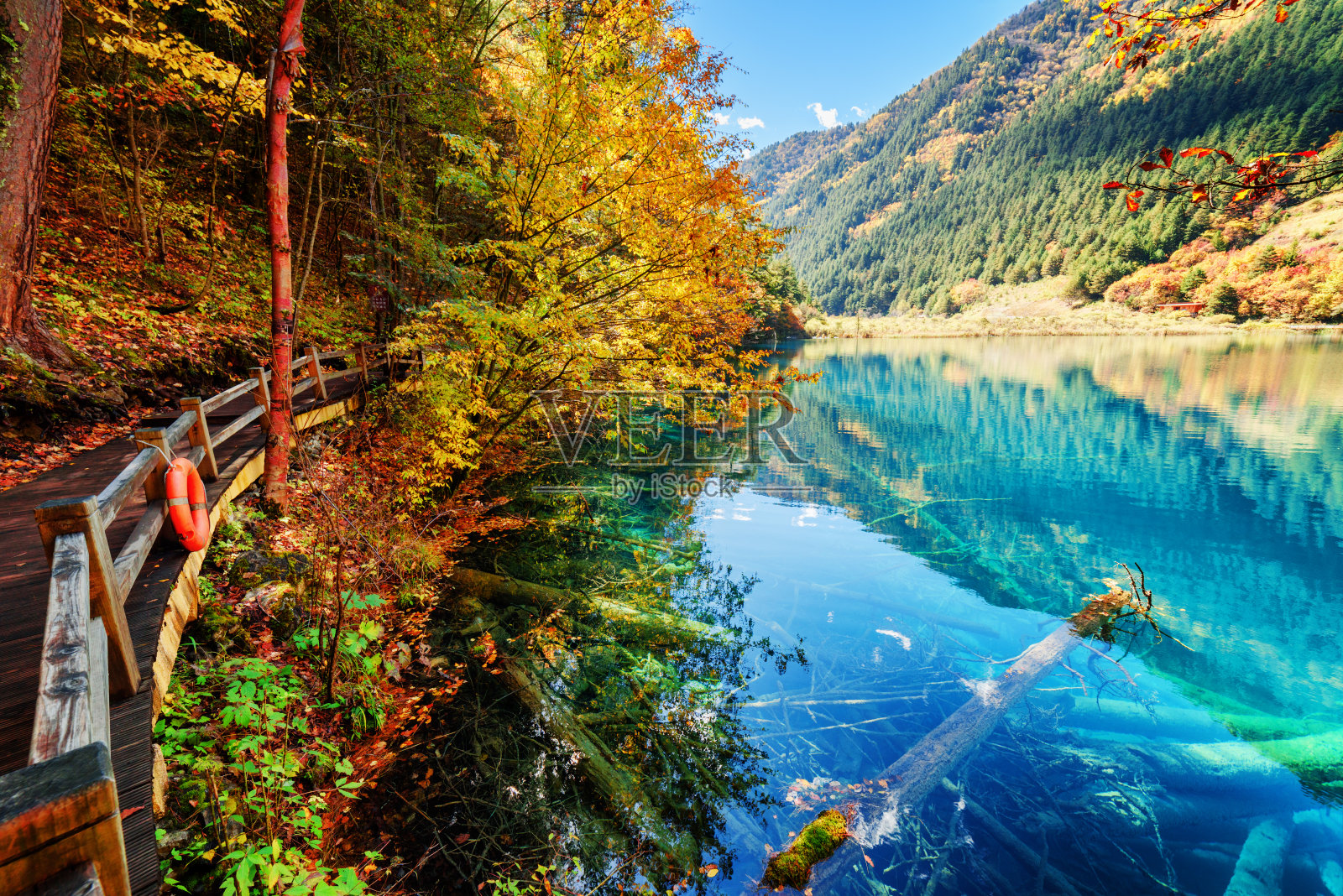 美丽的湖与湛蓝的水在秋天的树林照片摄影图片