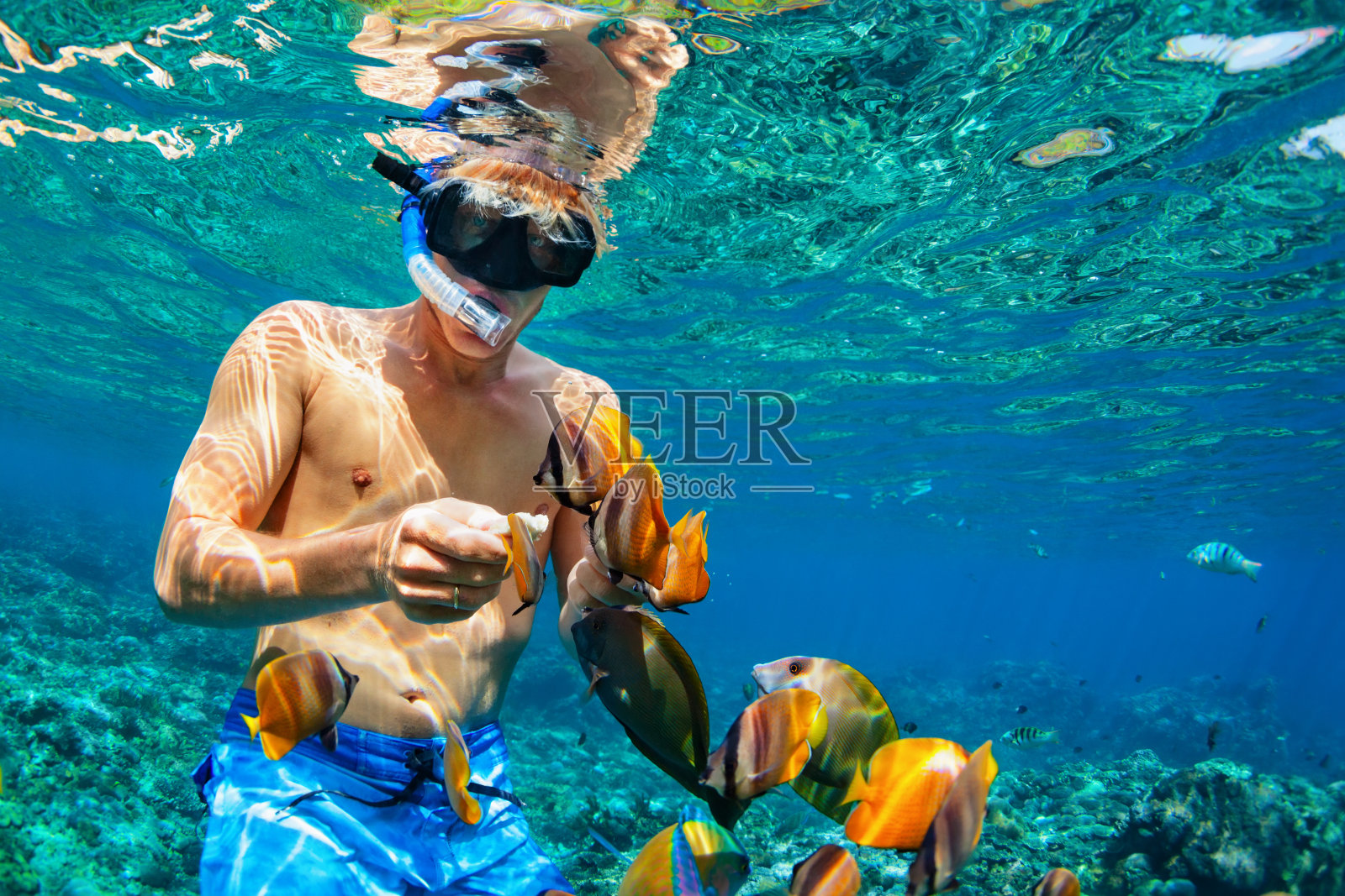 一个年轻人和珊瑚礁里的鱼一起浮潜照片摄影图片