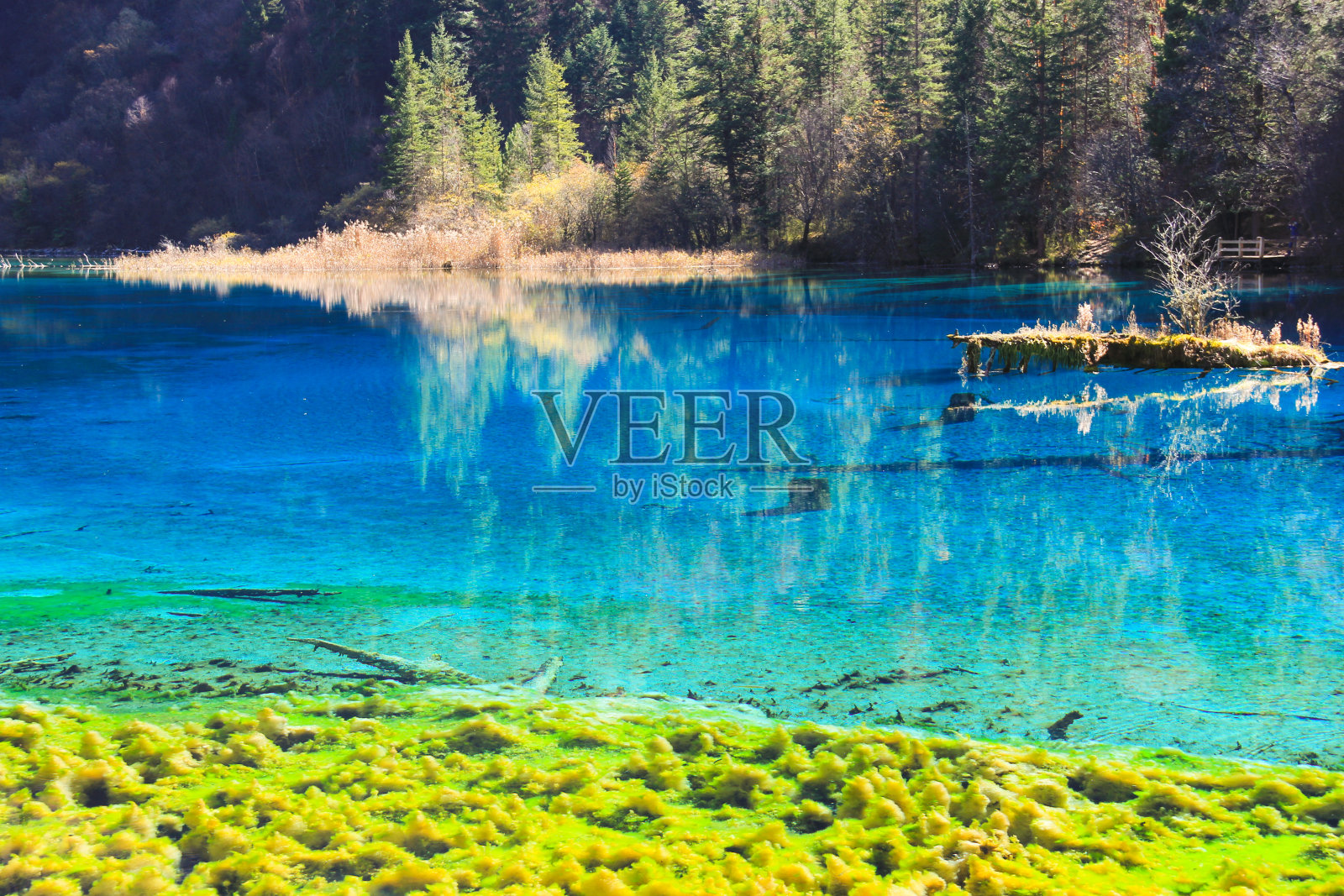 透明的绿松石湖水照片摄影图片