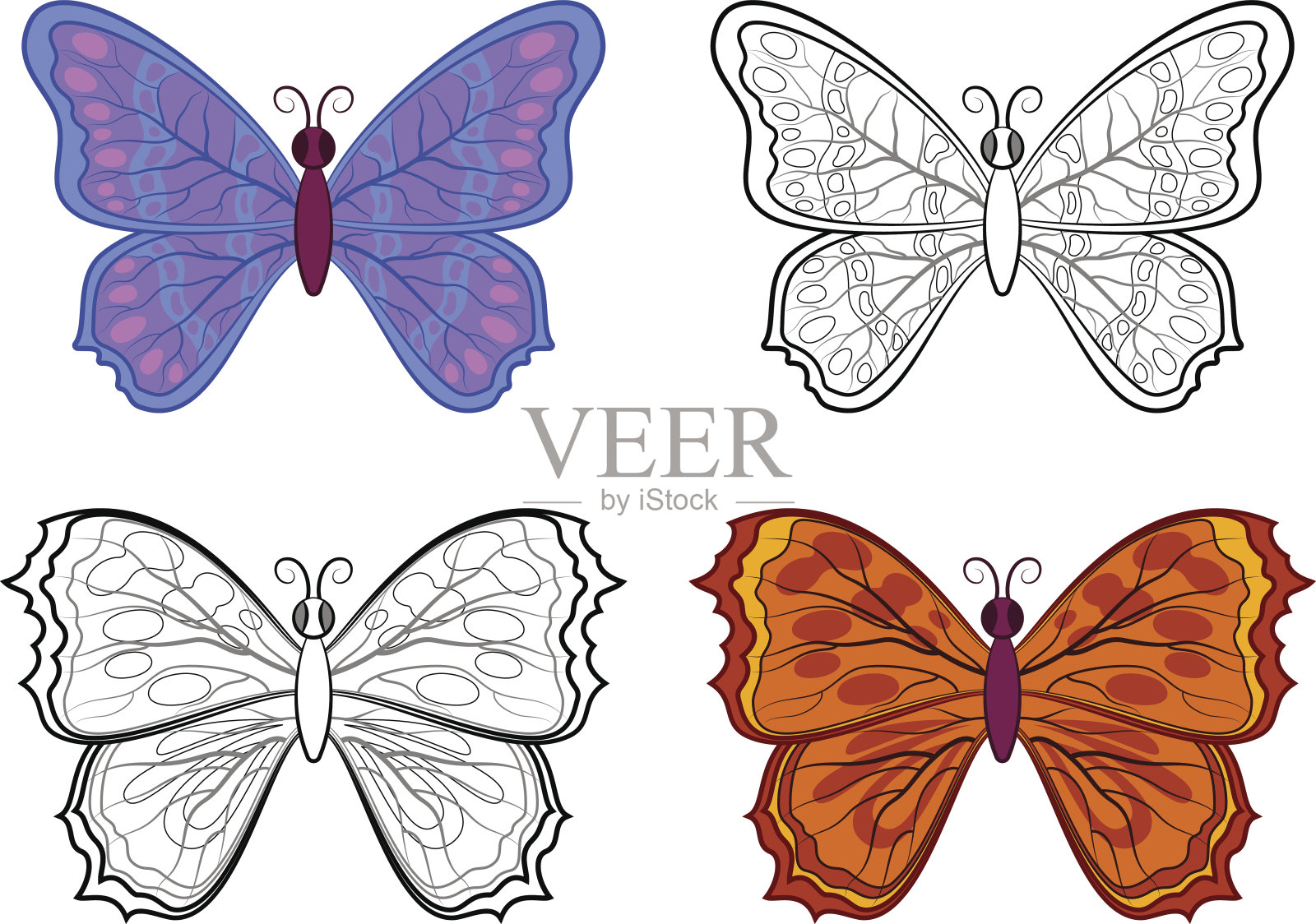 蝴蝶的轮廓和色彩插画图片素材