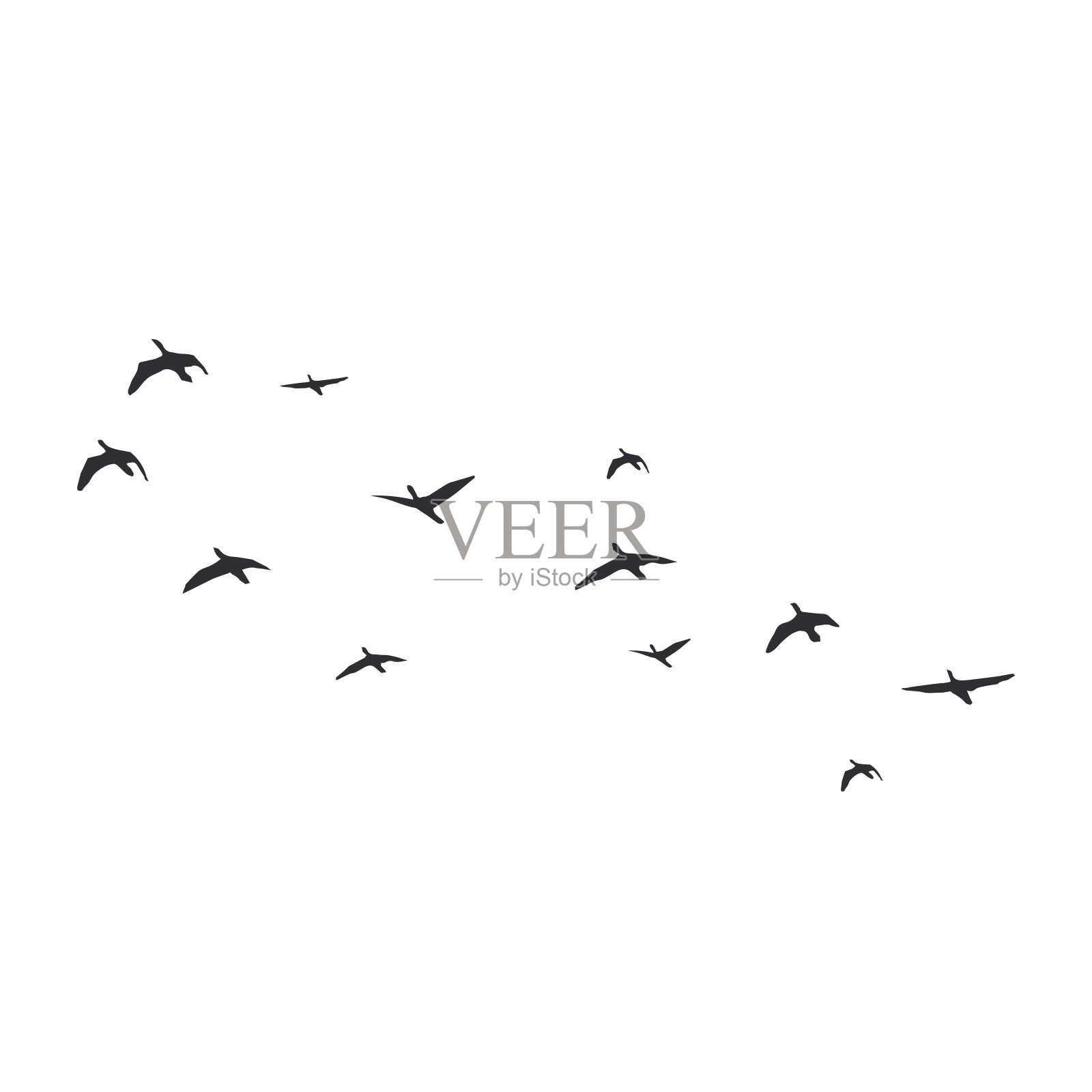 飞翔的鸟儿在白色的背景上剪影。矢量插图。孤立的鸟飞。插画图片素材