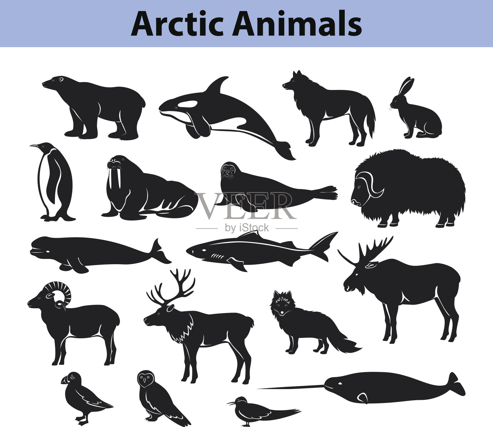 北极动物剪影收藏插画图片素材