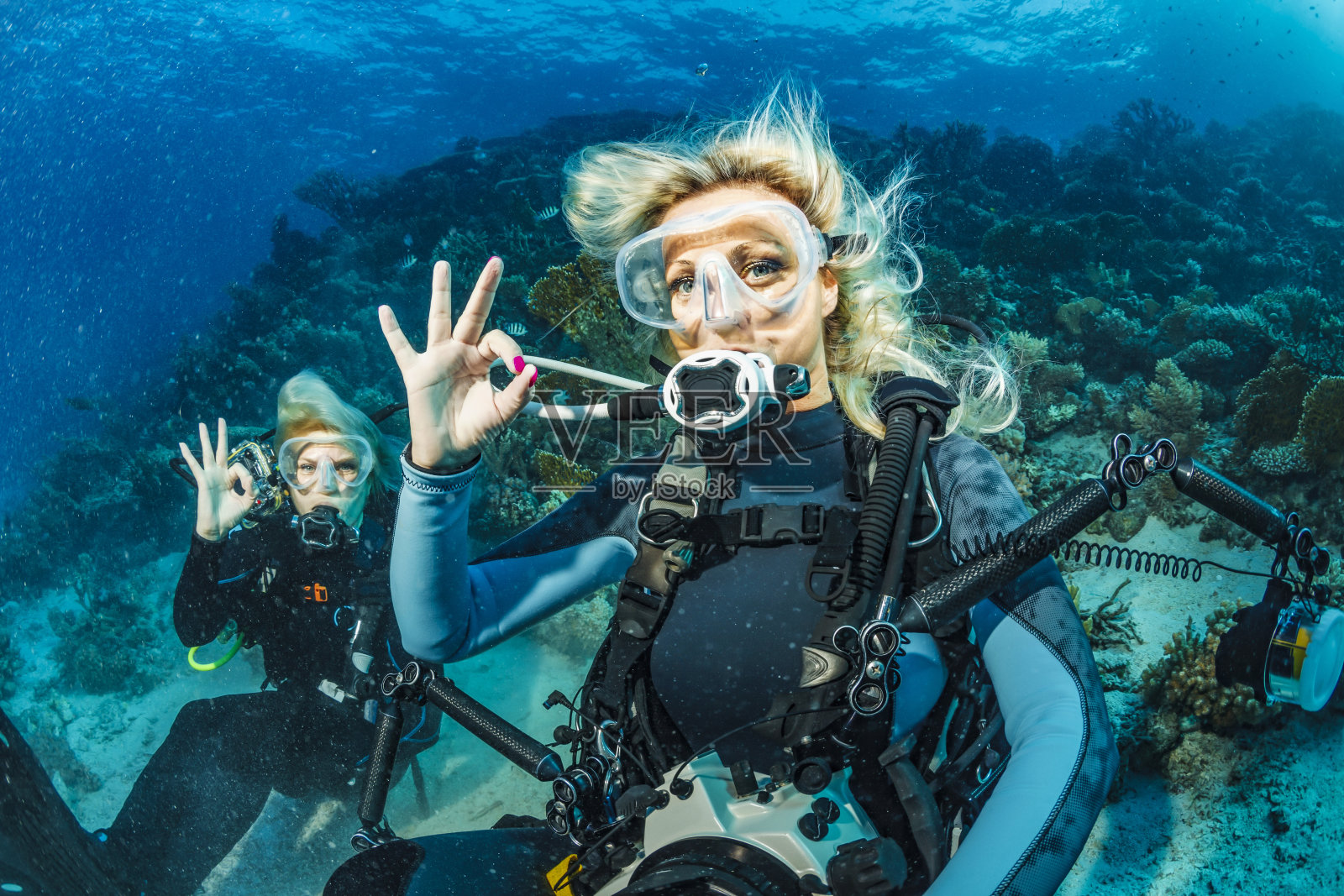 潜水员正在探索和享受珊瑚礁海洋生活照片摄影图片