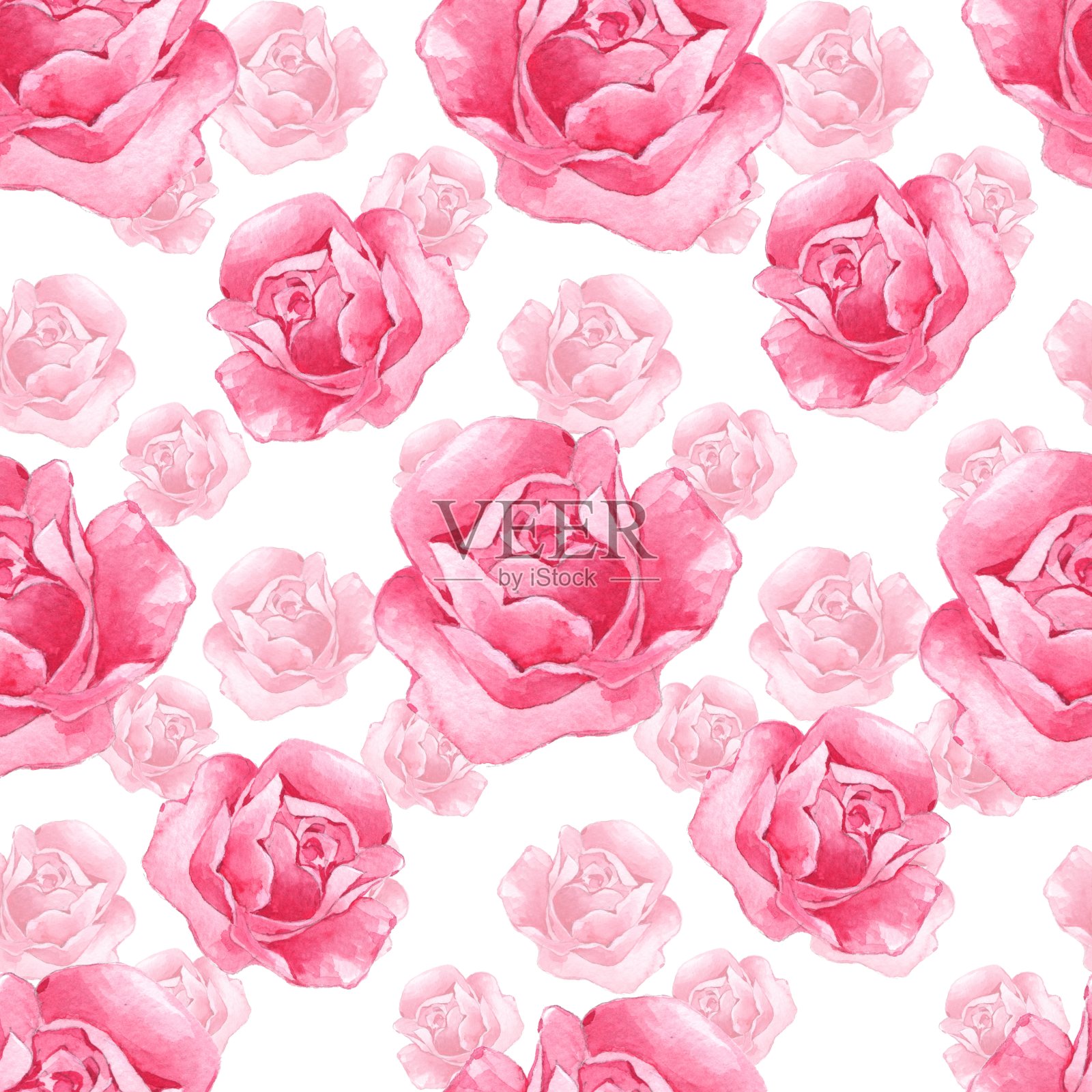 图案与粉红玫瑰3插画图片素材