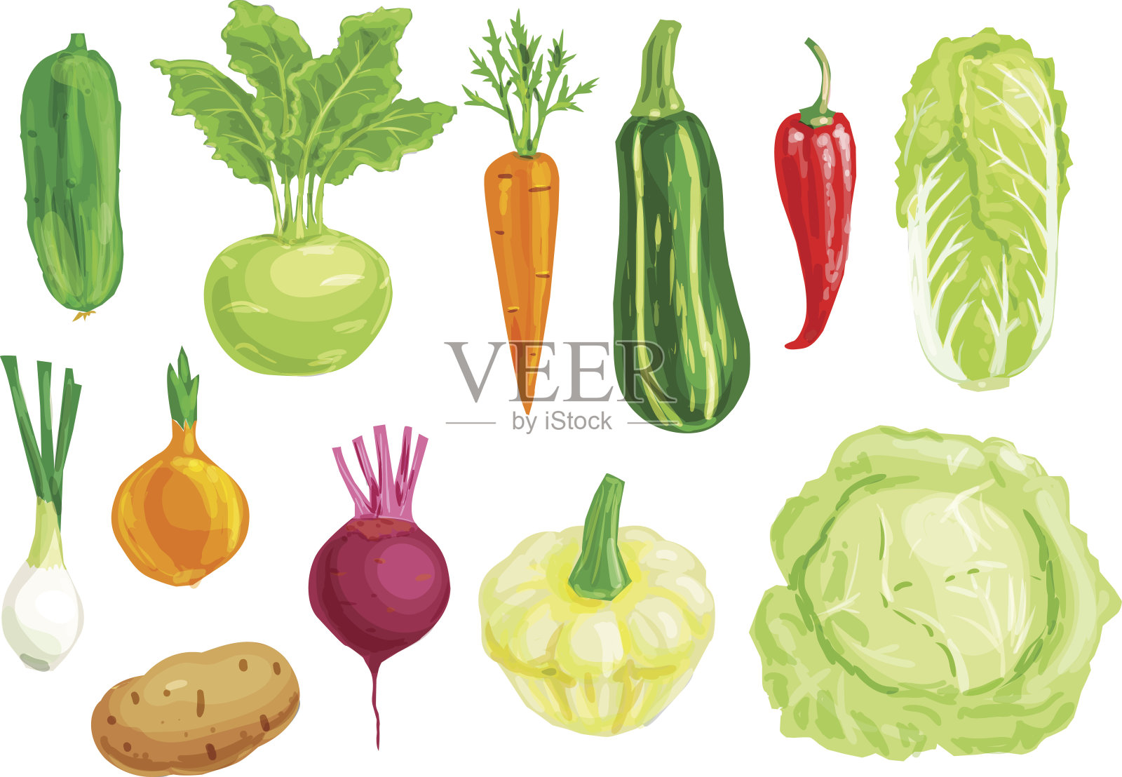有机蔬菜水彩插图集插画图片素材