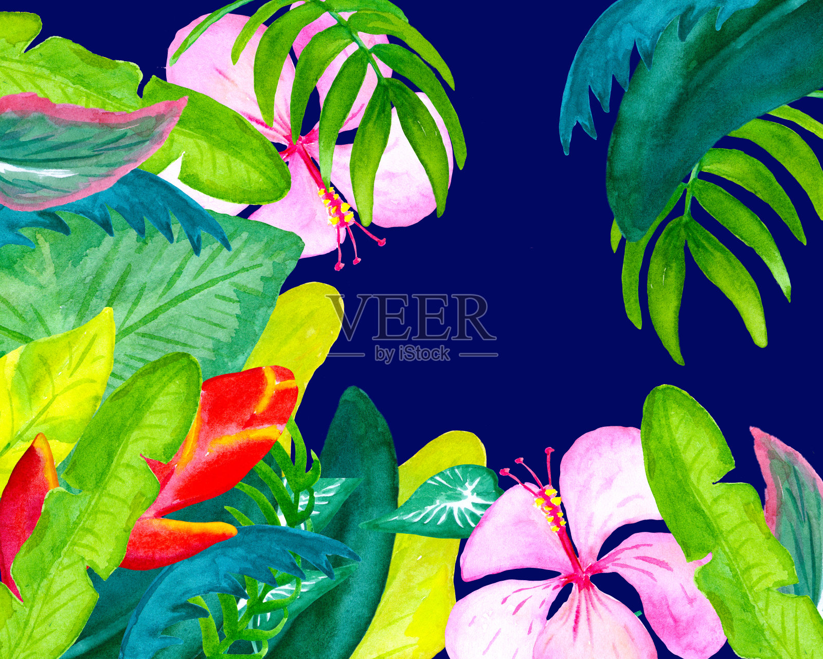 热带花卉和树叶水彩明信片与文字的地方，手绘水彩热带花卉插画图片素材