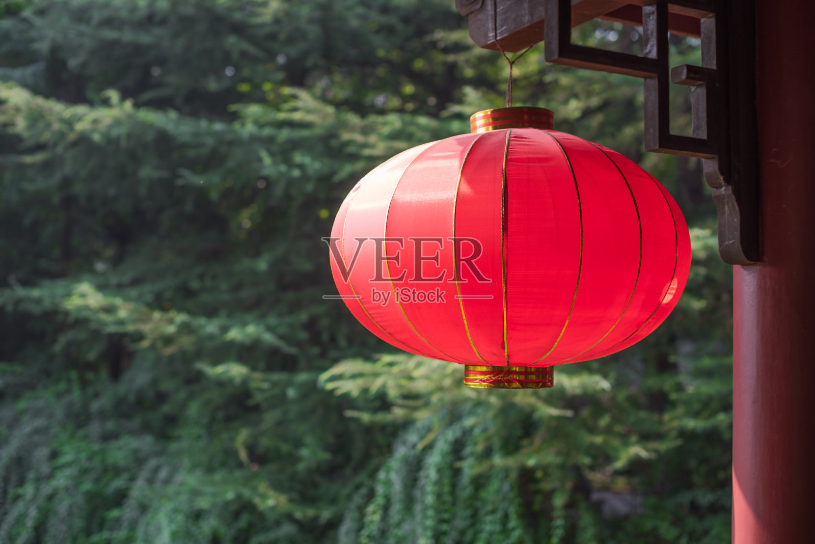 红色的中国灯笼挂在树的背景照片摄影图片