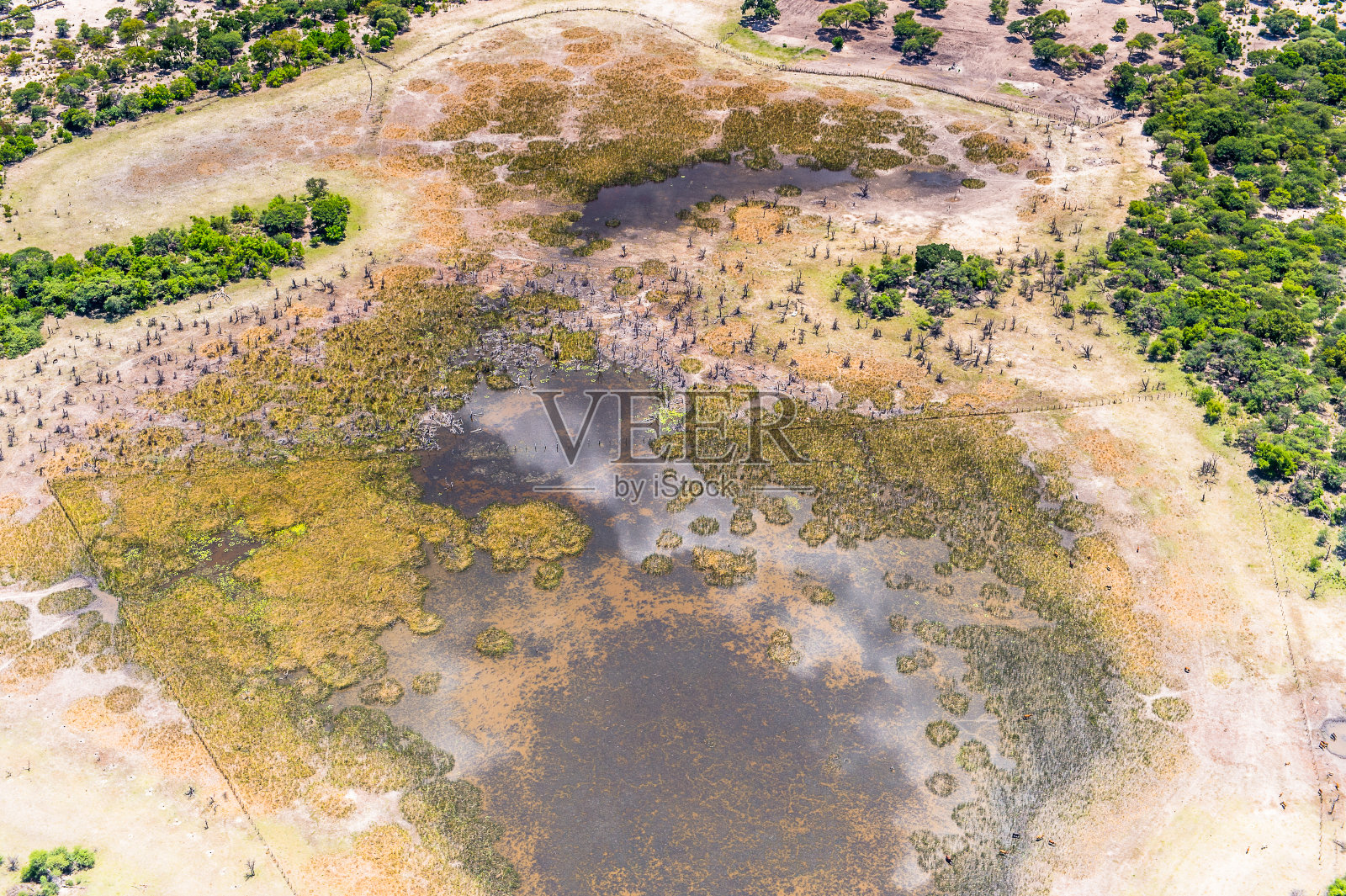 鸟瞰图的自然博茨瓦纳，非洲照片摄影图片