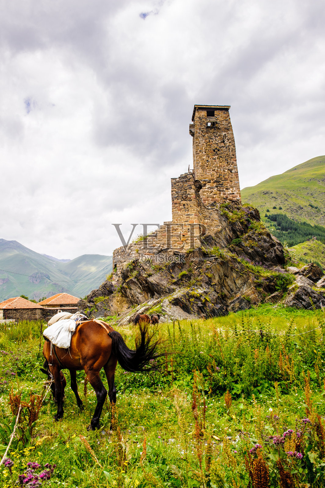 岩石上的古老堡垒和草地上的一匹马照片摄影图片