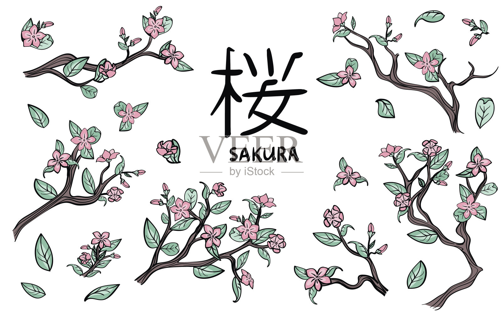 樱花的枝条。粉红色的樱花花朵。矢量插图集，孤立在白色。插画图片素材