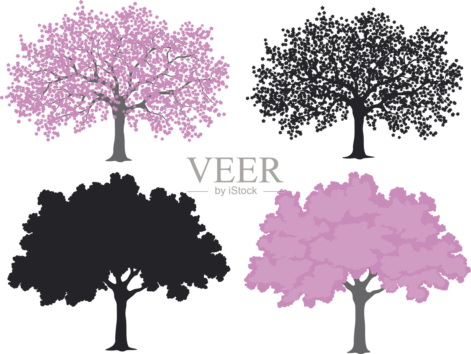 樱花，樱花树的颜色和剪影插画图片素材
