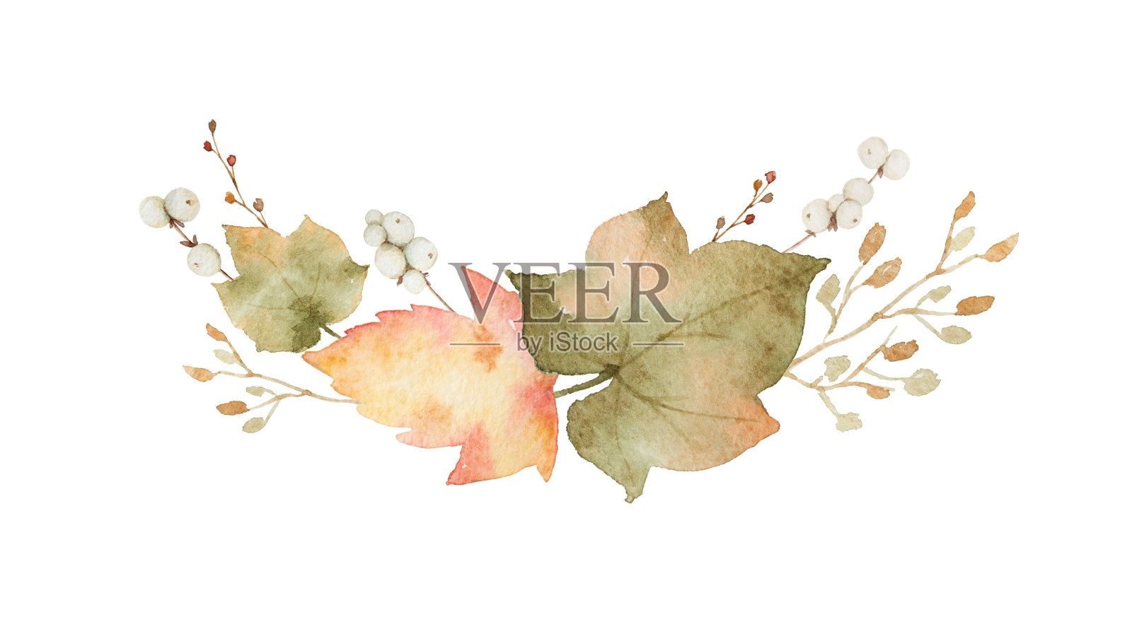 水彩花环的树叶和树枝孤立在白色的背景。插画图片素材