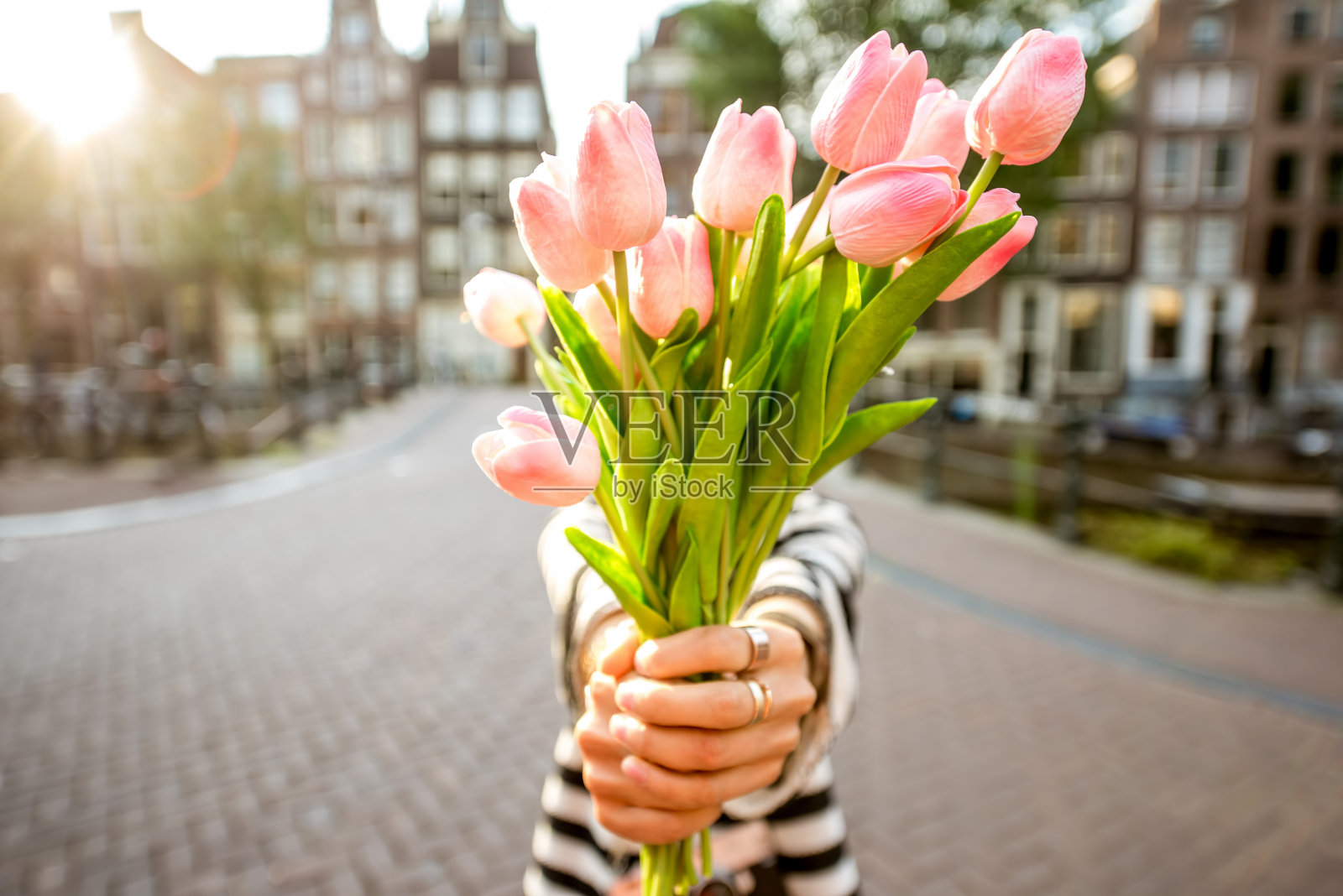阿姆斯特丹，一个种着郁金香的女人照片摄影图片