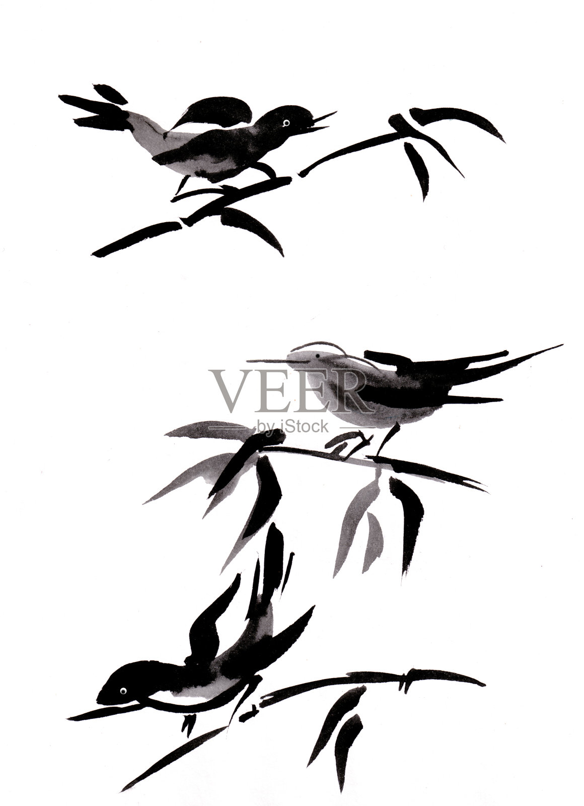 鸟类在竹设计元素图片