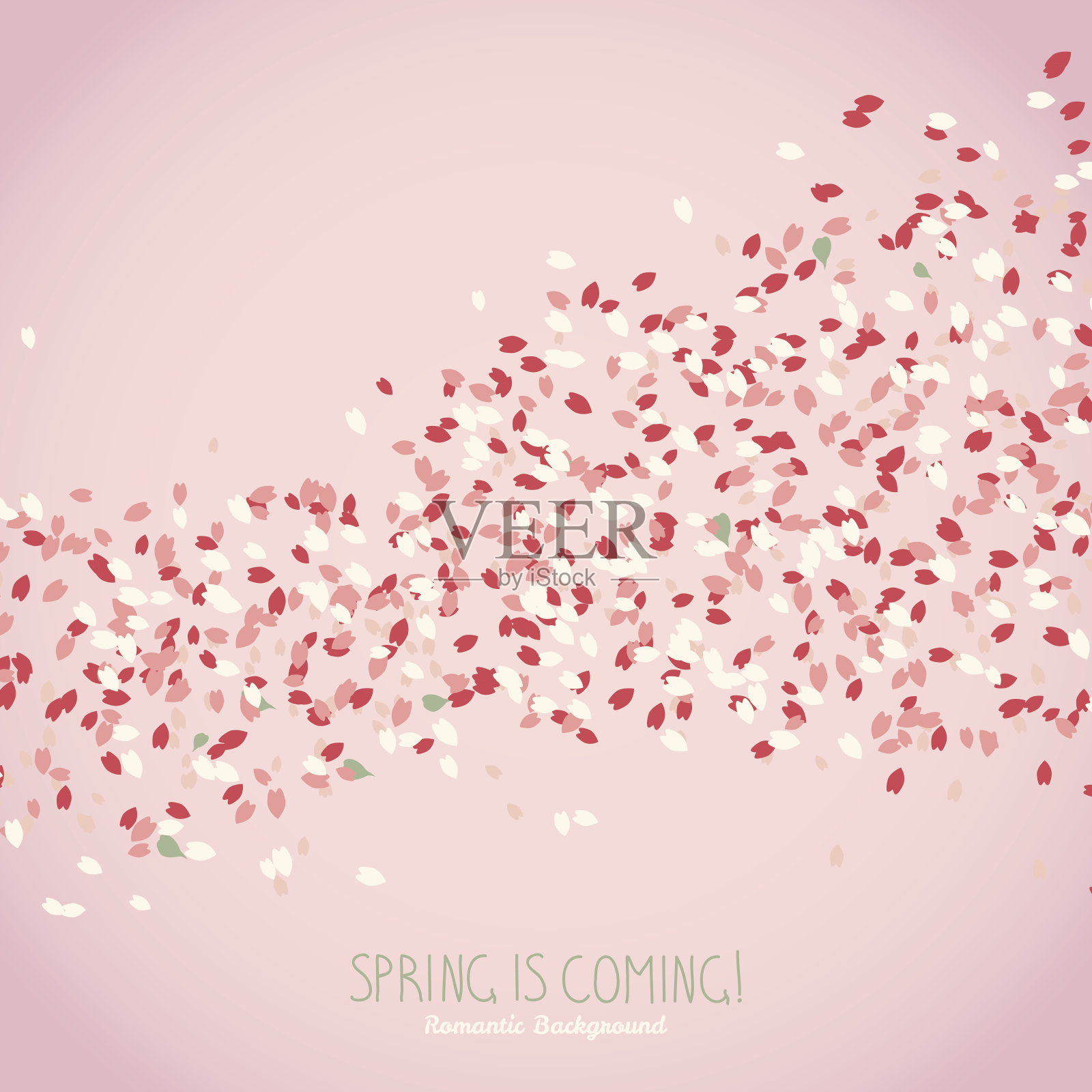 春天来了。樱花的花瓣。日本文化。插画图片素材