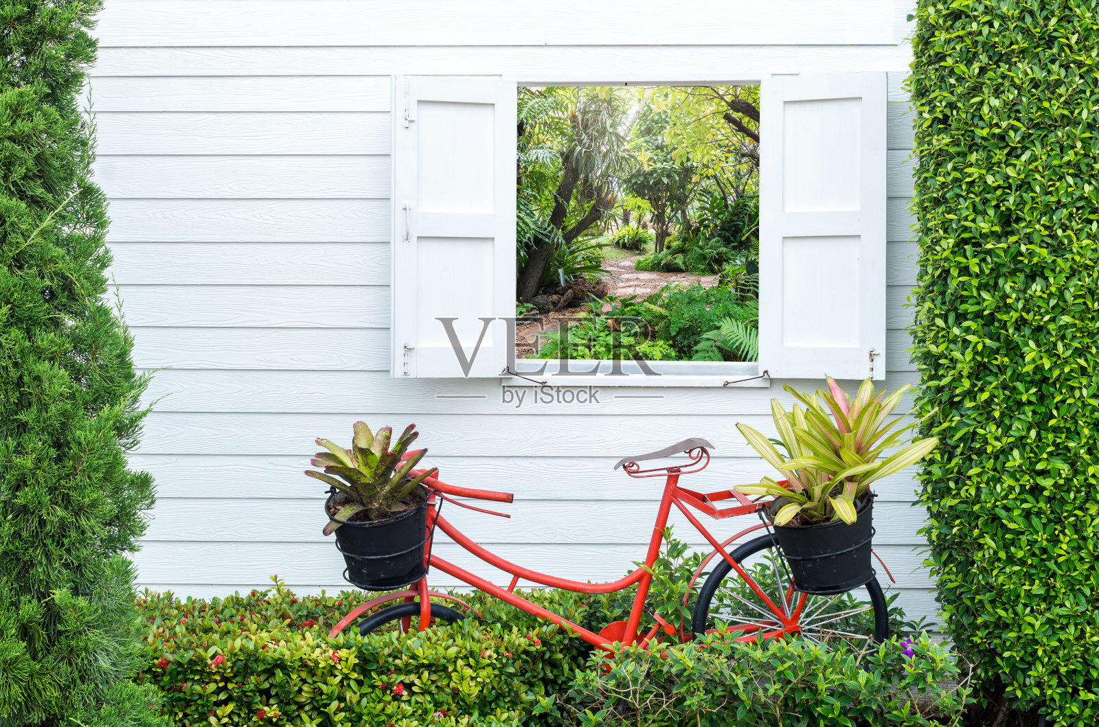 用自行车和窗户装饰花园照片摄影图片