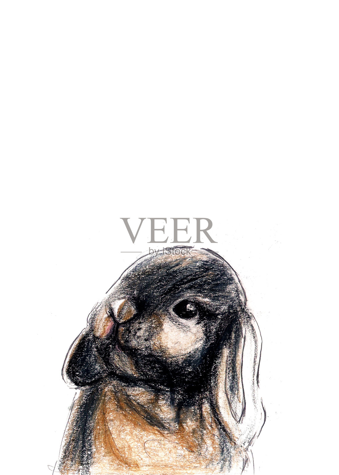 棕色的兔子插画图片素材
