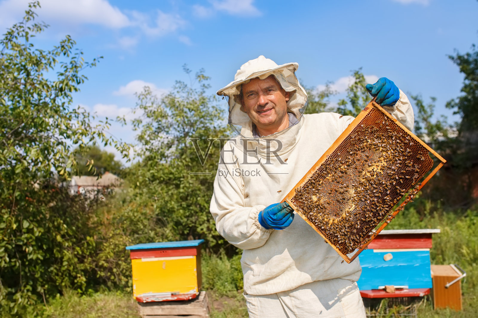 养蜂人在蜂房的蜂窝照片摄影图片