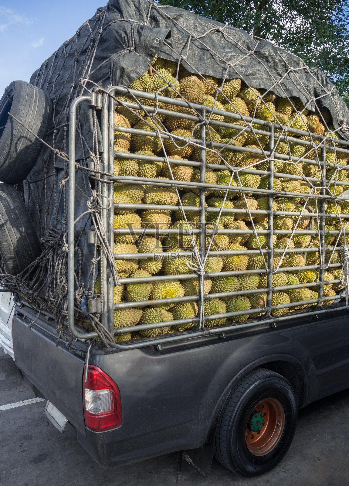 榴莲(水果之王)在卡车/皮卡的库存架上在亚洲/泰国的省份之间运输。照片摄影图片