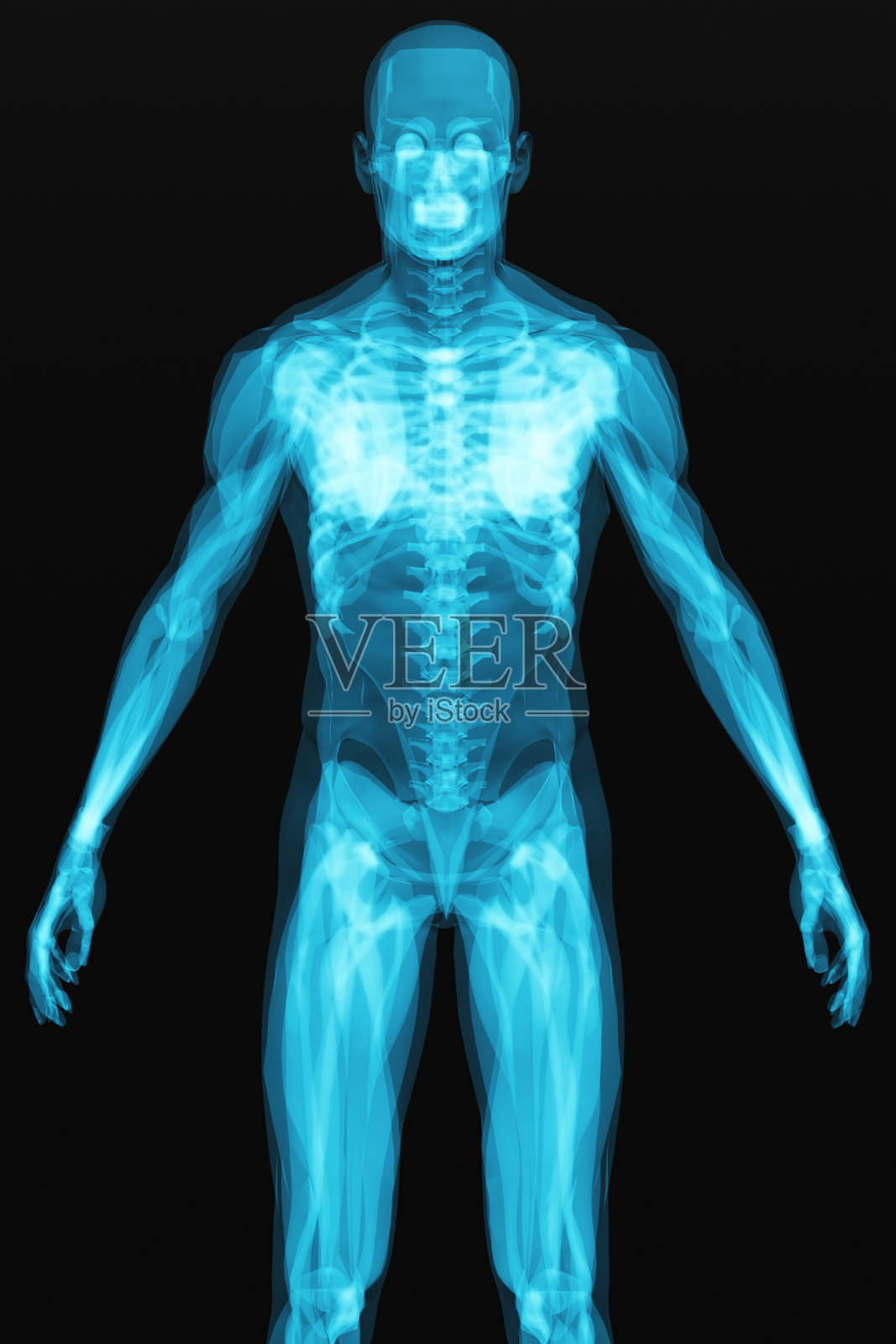 人体的x射线扫描照片摄影图片
