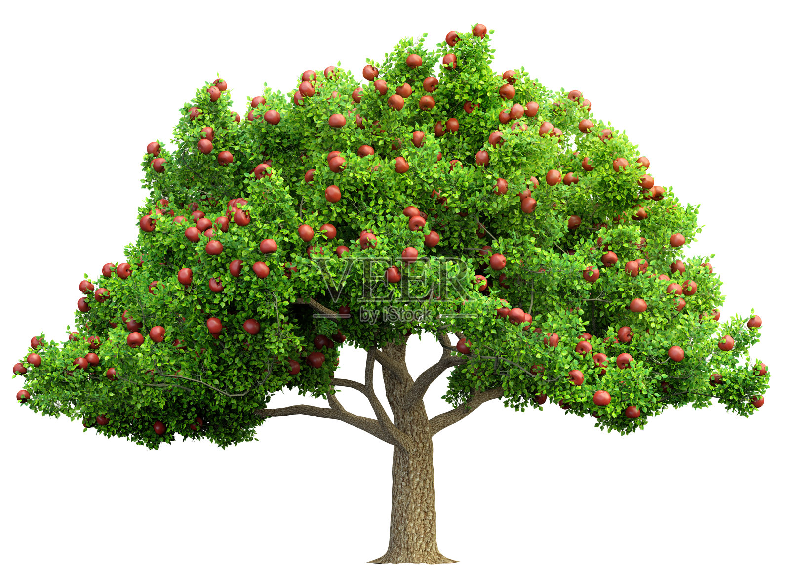 红苹果树孤立的3D插图照片摄影图片