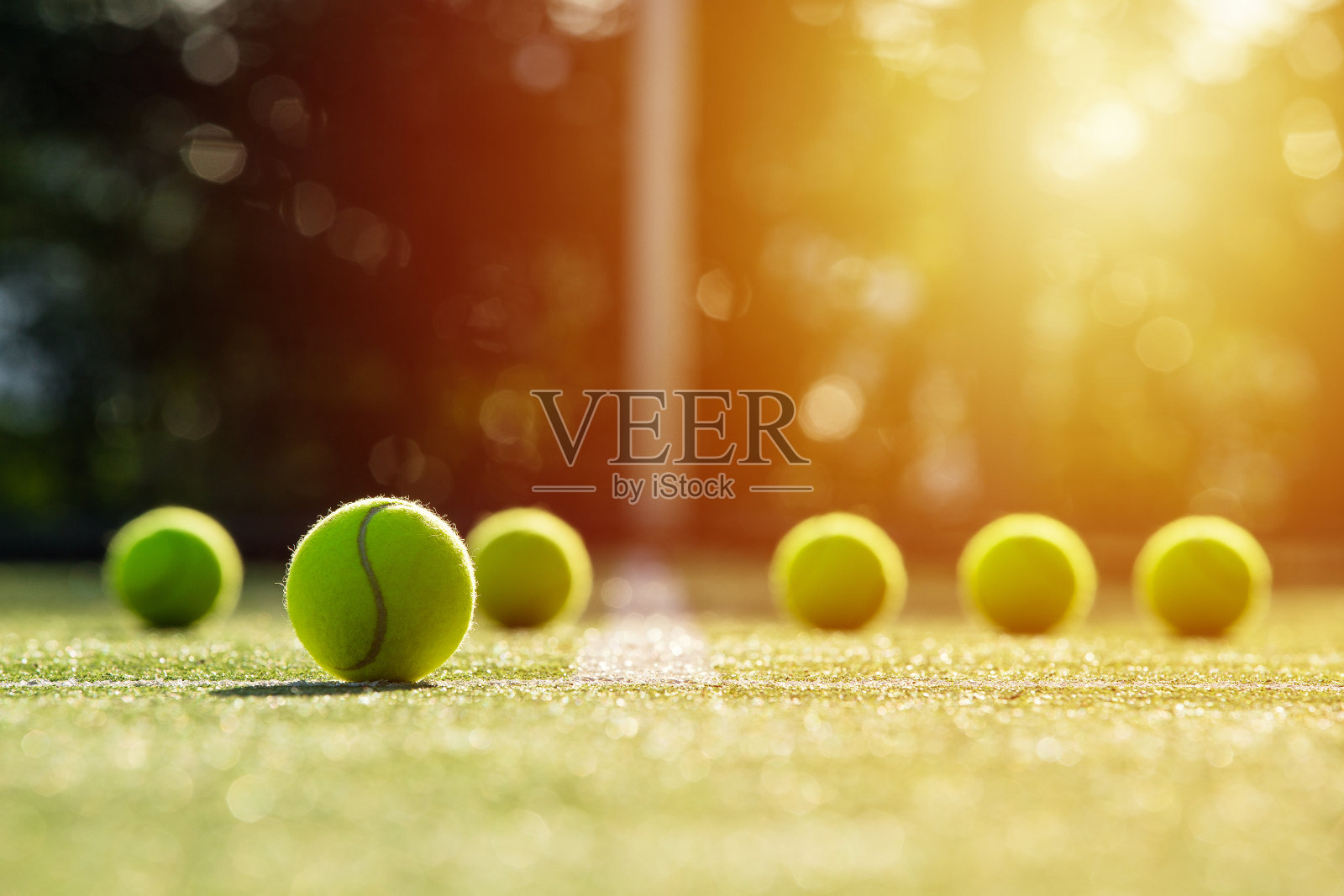 在阳光的照射下，网球在草地上的柔软焦点照片摄影图片