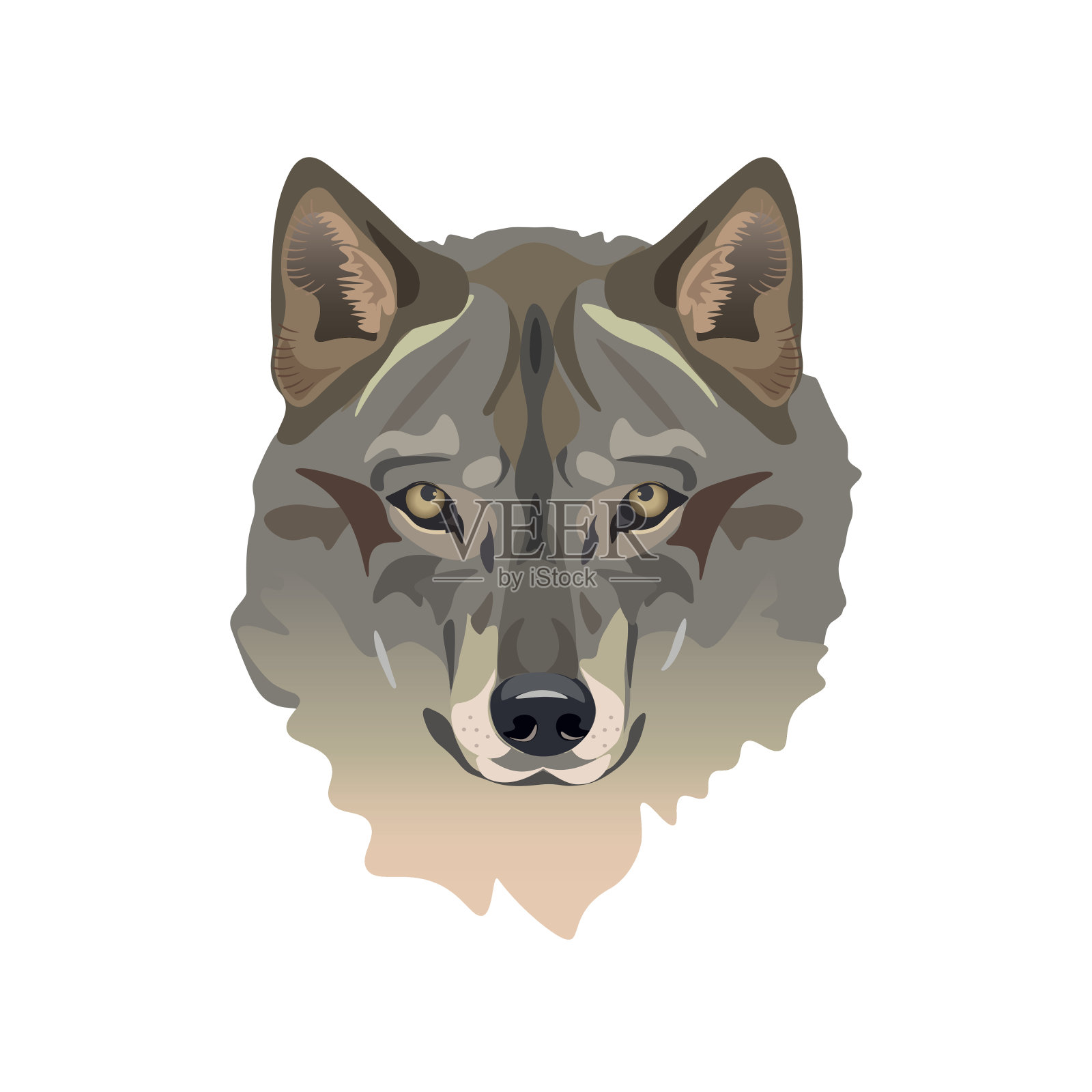 狼的头向量插画图片素材