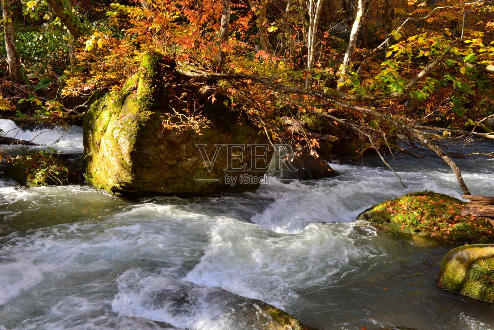 日本青森市秋天的磐濑山溪照片摄影图片