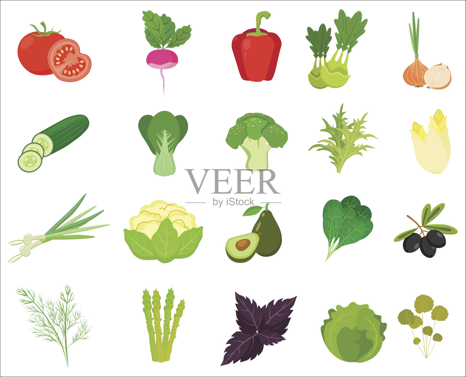 新鲜蔬菜和香草颜色的图标。插画图片素材