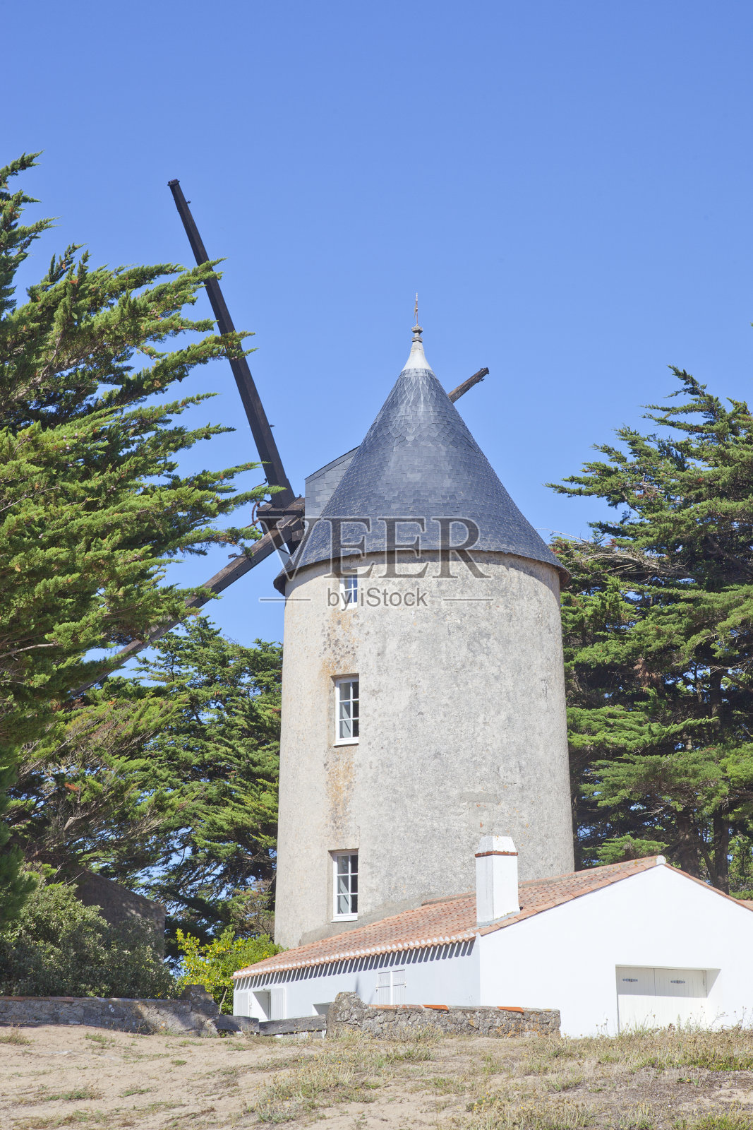 法国旺代海岸的传统风车照片摄影图片