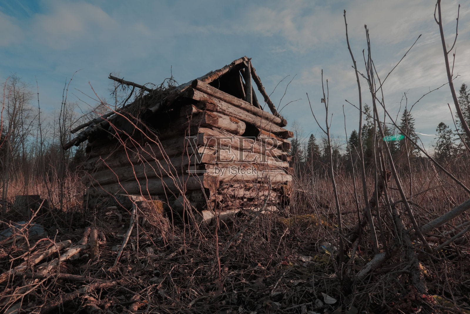 废弃的老森林小屋照片摄影图片