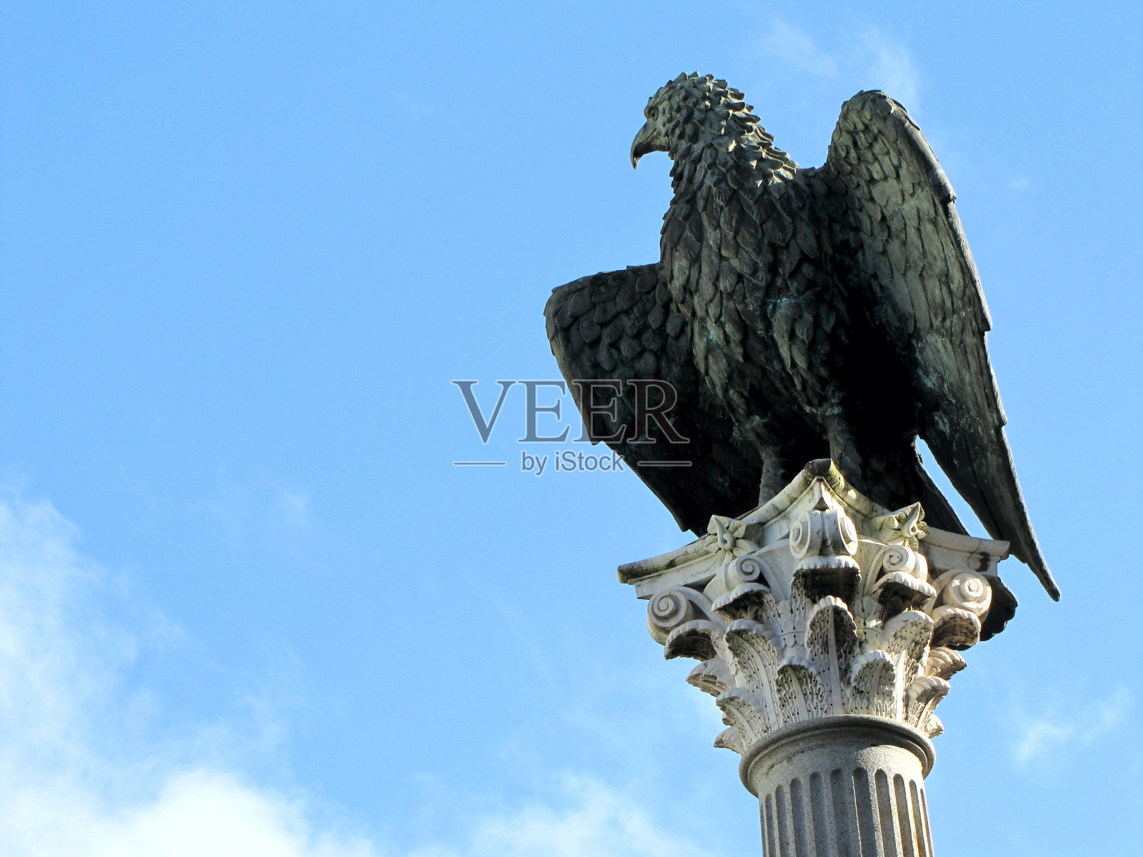加利西亚卢戈圣多明各广场的皇家鹰照片摄影图片