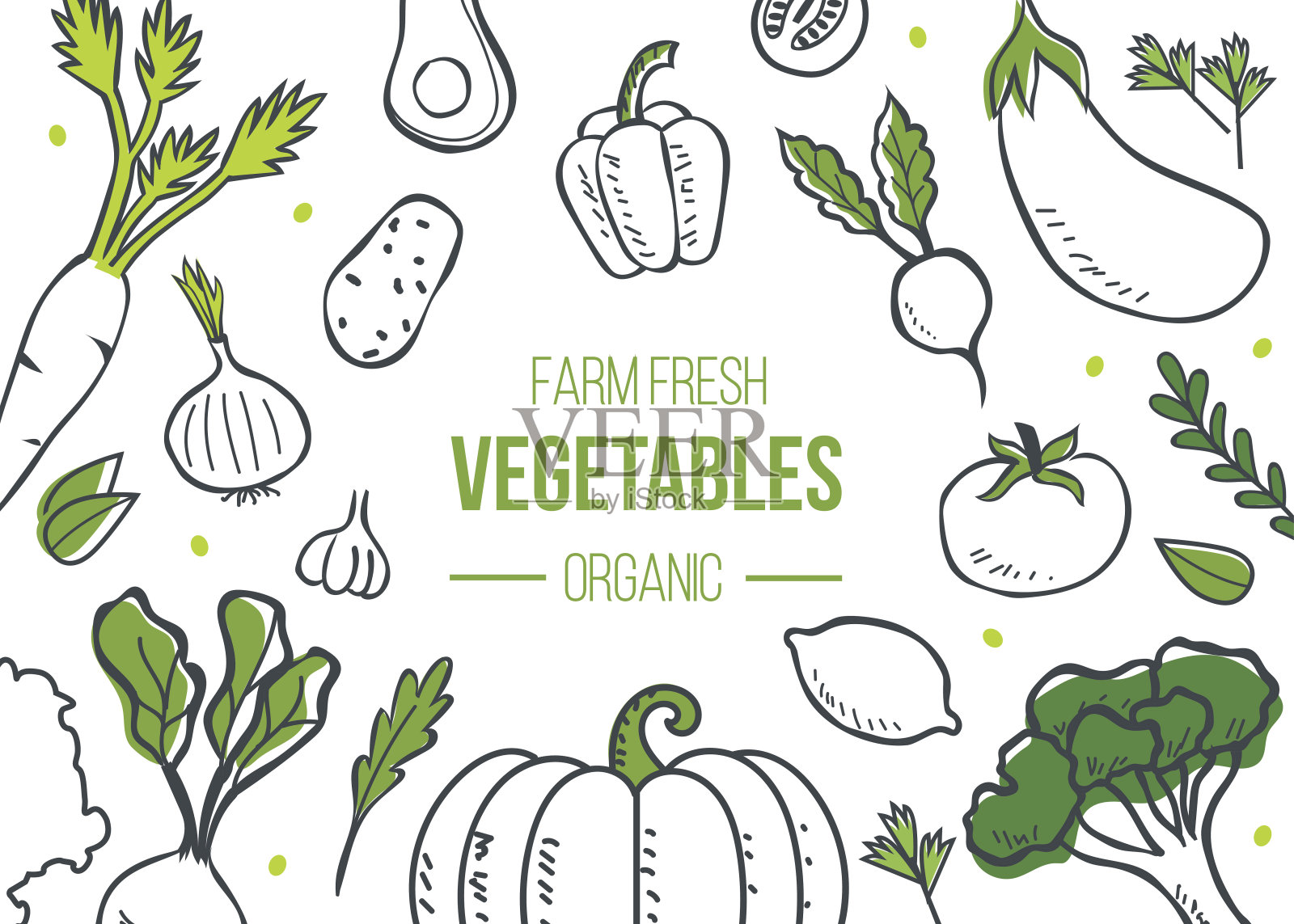 蔬菜的横幅插画图片素材