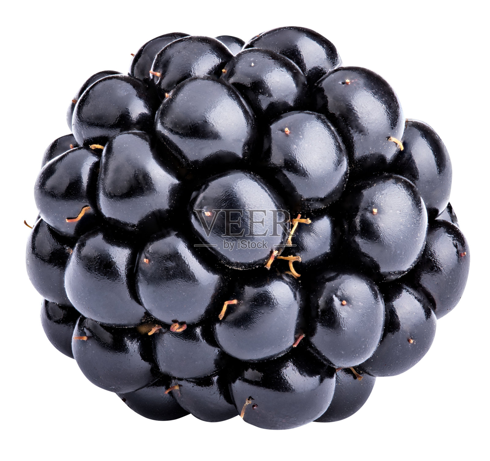 黑莓孤立的白色背景照片摄影图片