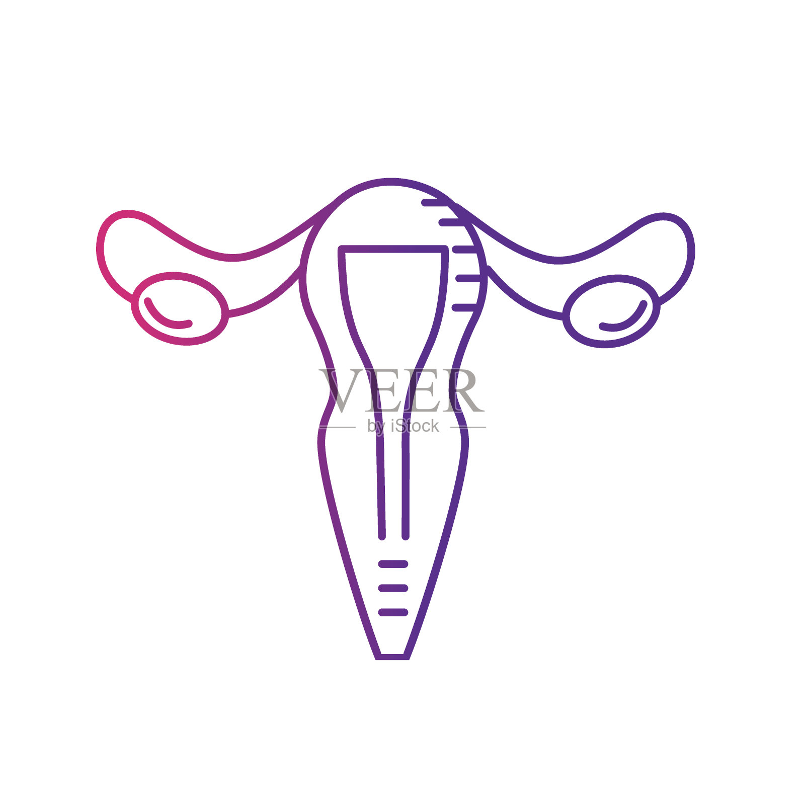 子宫线输卵管解剖女性设计元素图片