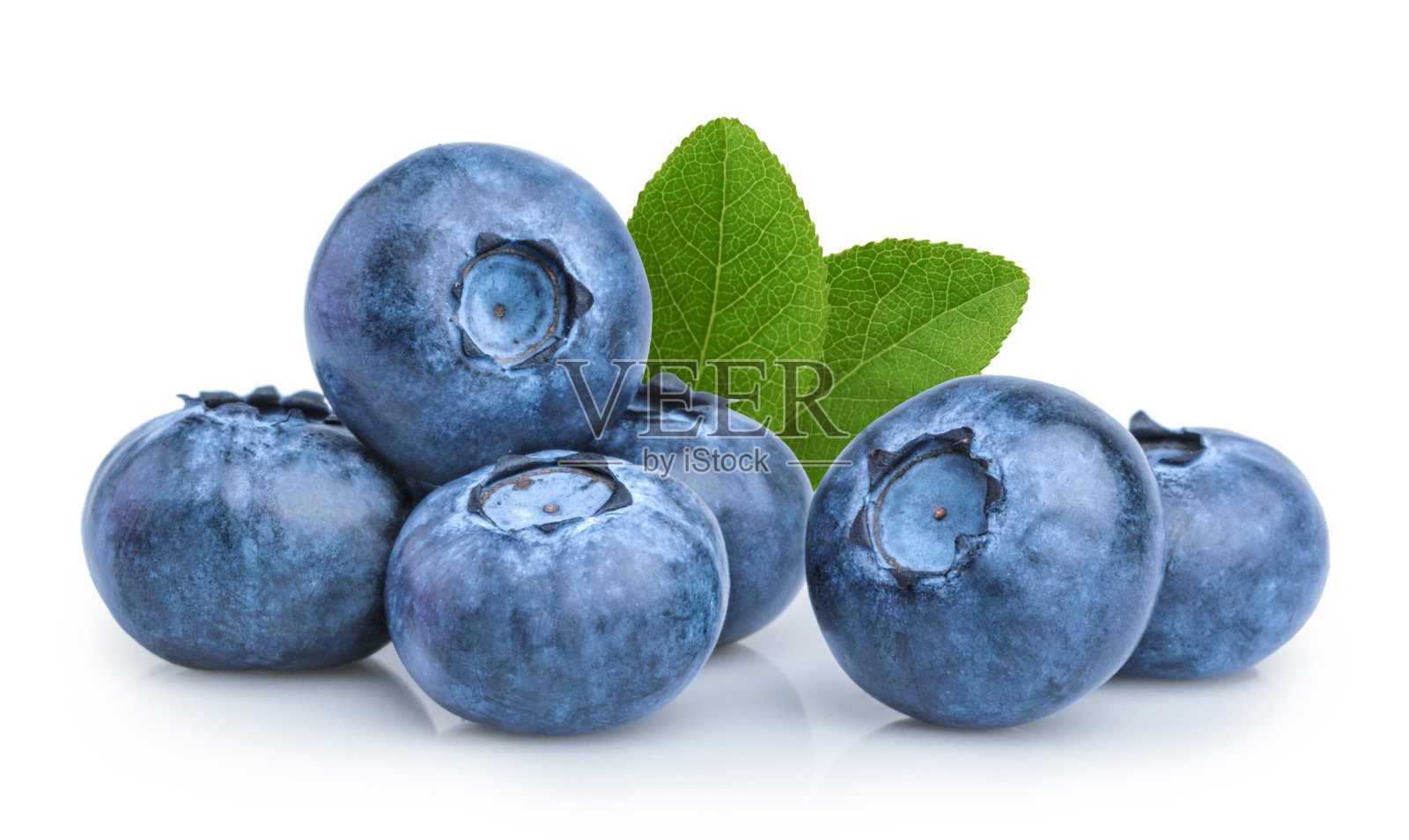 蓝莓孤立在白色背景照片摄影图片
