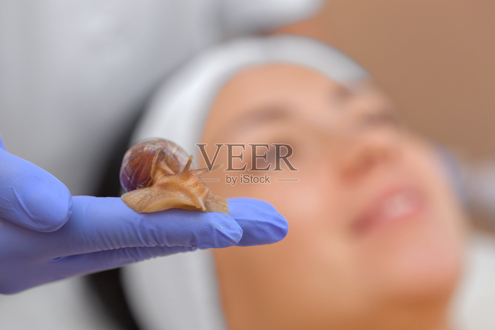 Cosmetological过程。一位美容师手上的花生蜗牛照片摄影图片