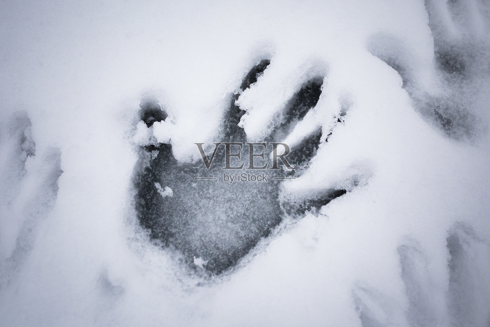 雪地里的手印照片摄影图片