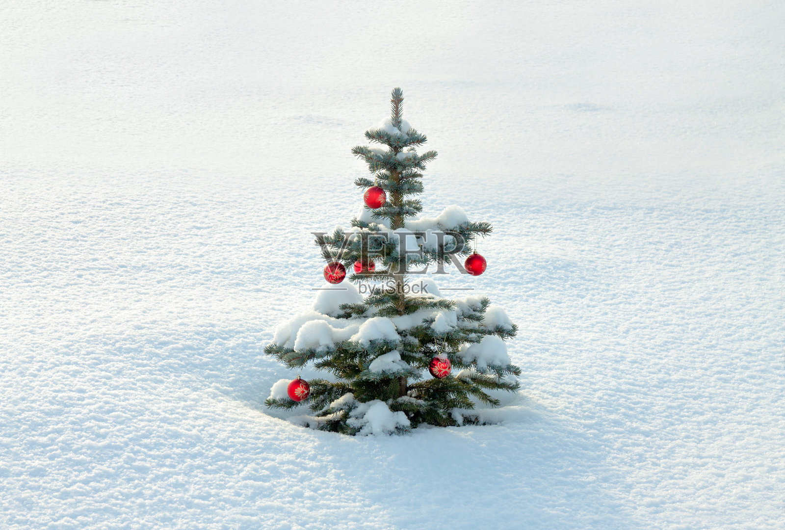 冬季景观用冷杉树装饰圣诞和新年红球和雪照片摄影图片